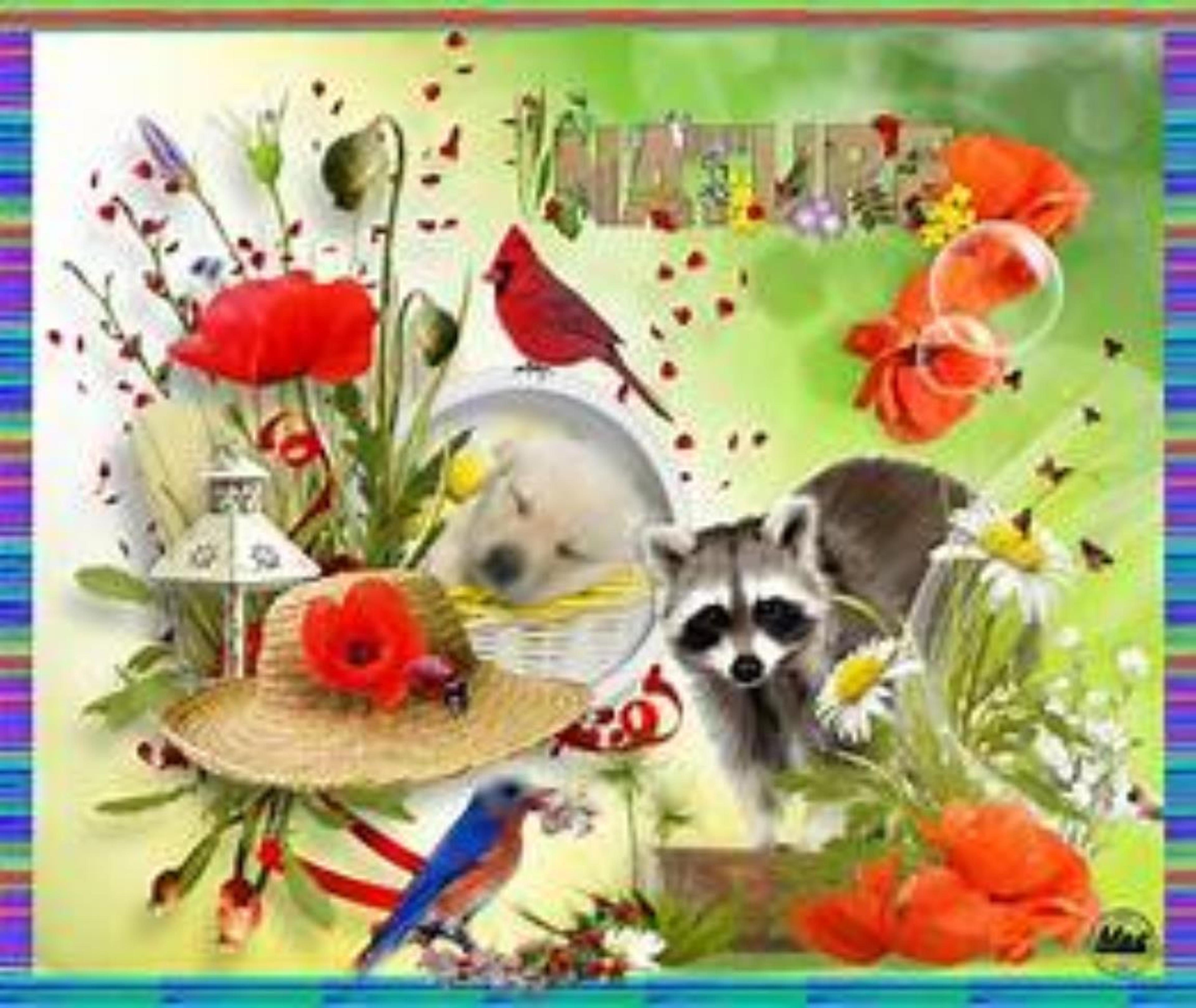 Shop cover image