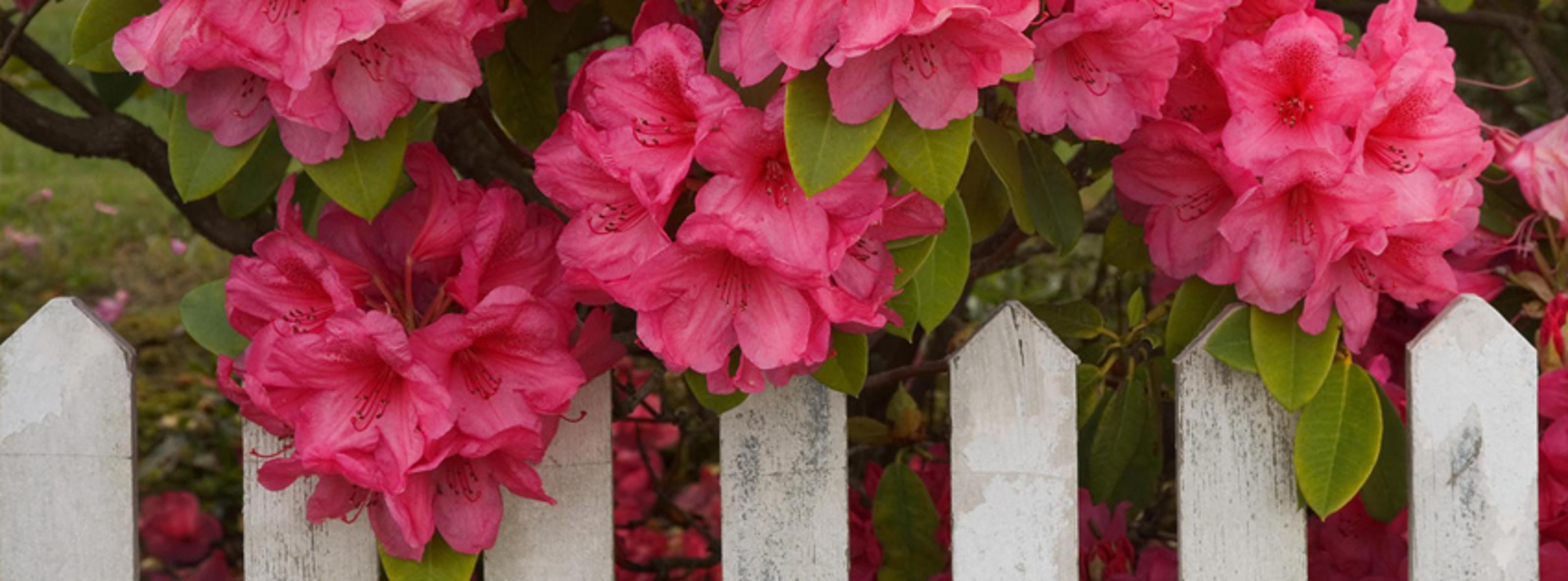 Shop cover image