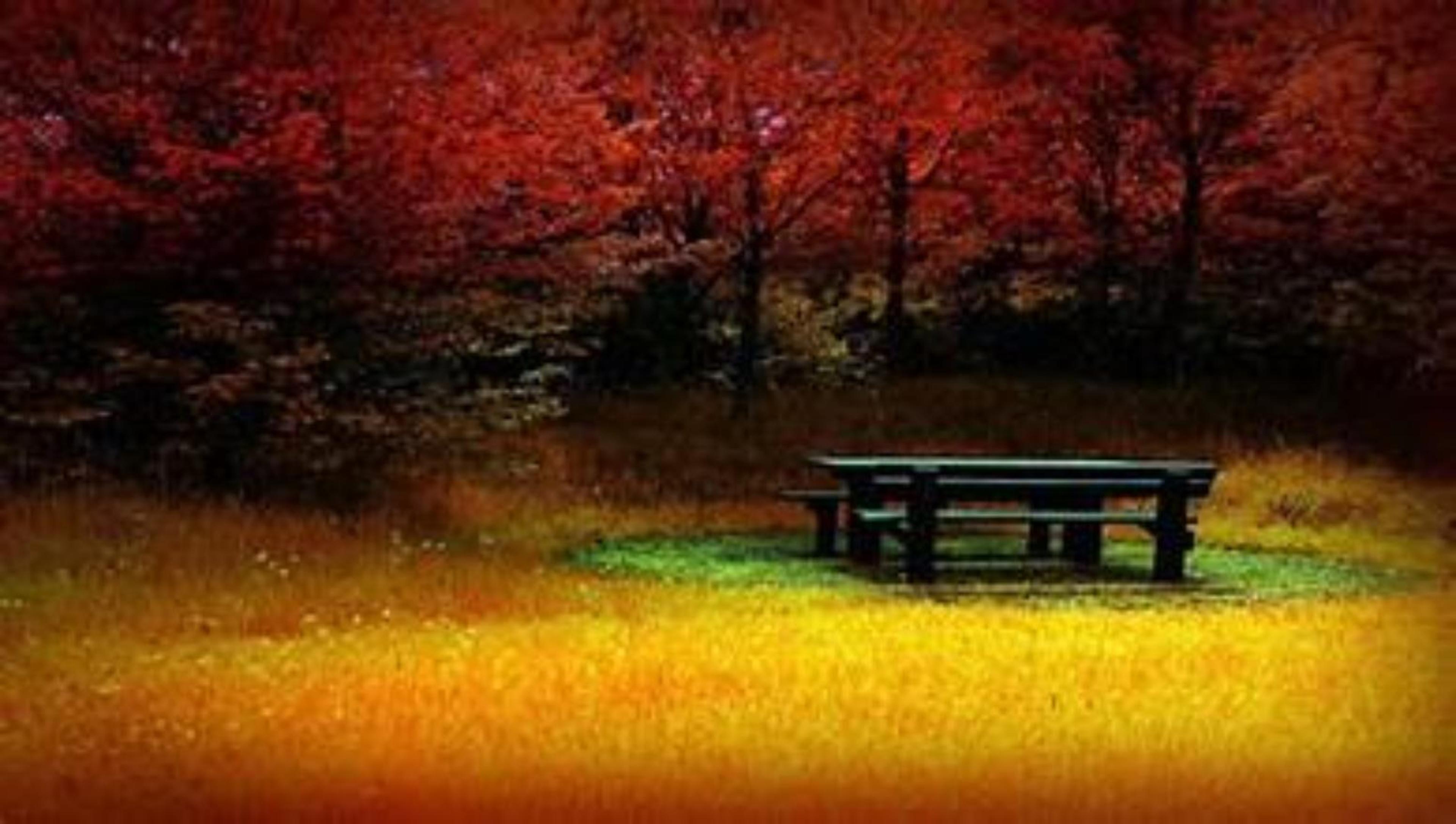 Shop cover image