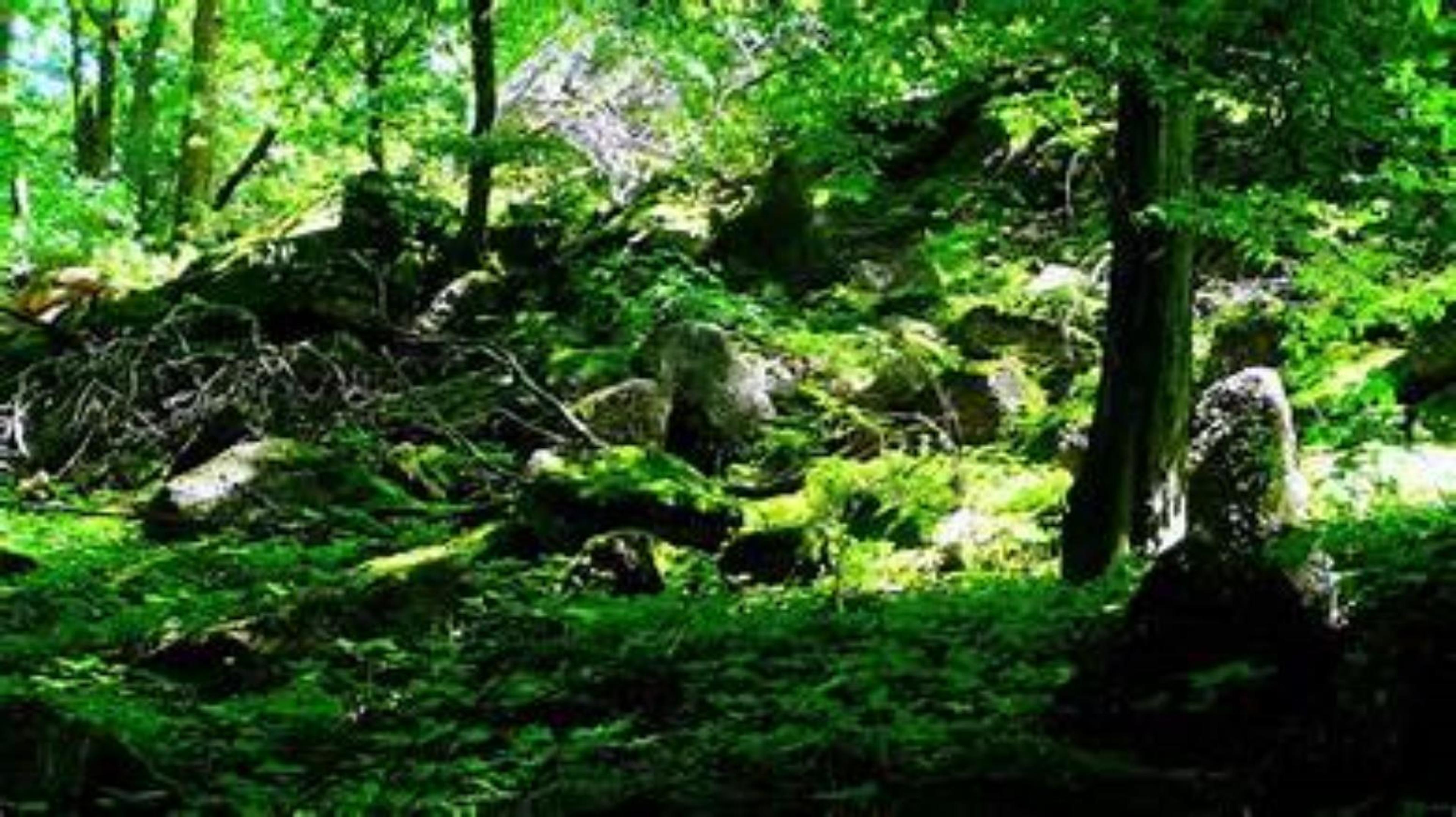 Shop cover image