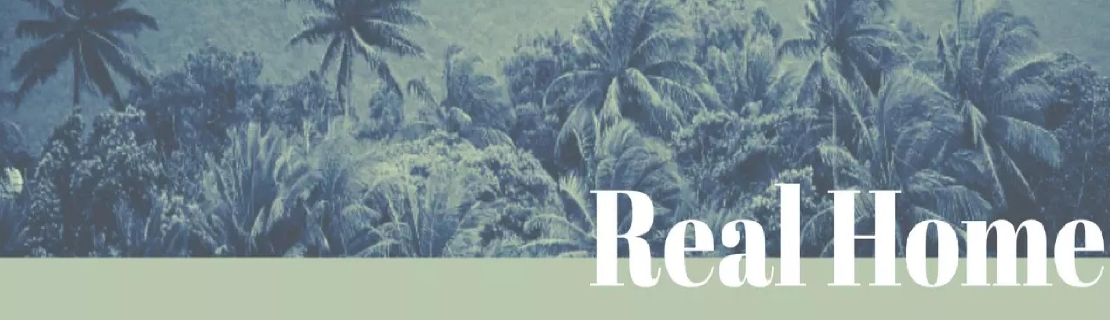 Shop cover image