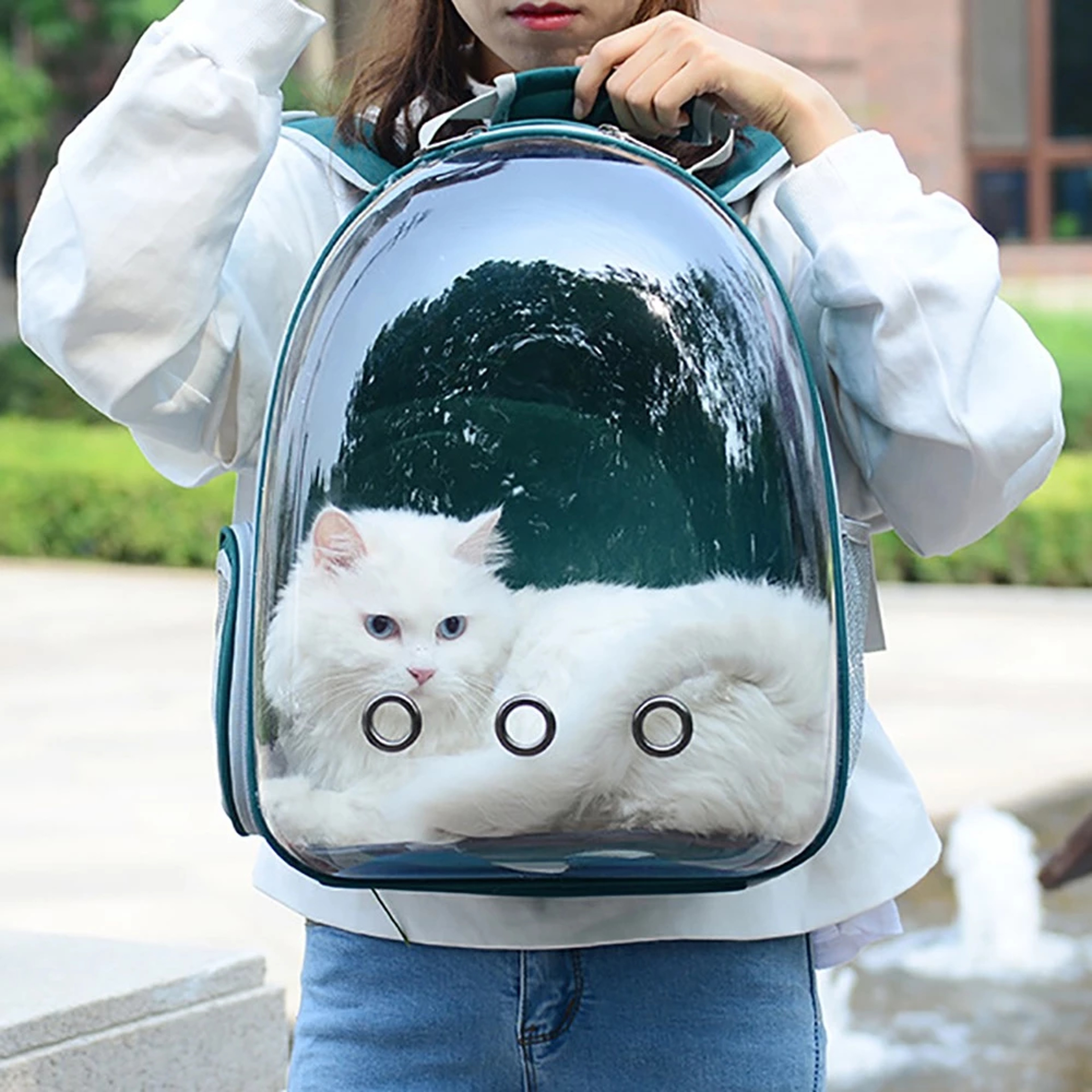 backpack for cat to travel in Cawypety Carrier, Breathable Cat Carrier Large Space Bubble Pet Backpack Kitty Small Dog up 15lbs, Transparent & Foldable Pet Carrier for Hiking : Pet Supplies Equipped with adjustable chest Travel Cat The Navigator Convertible