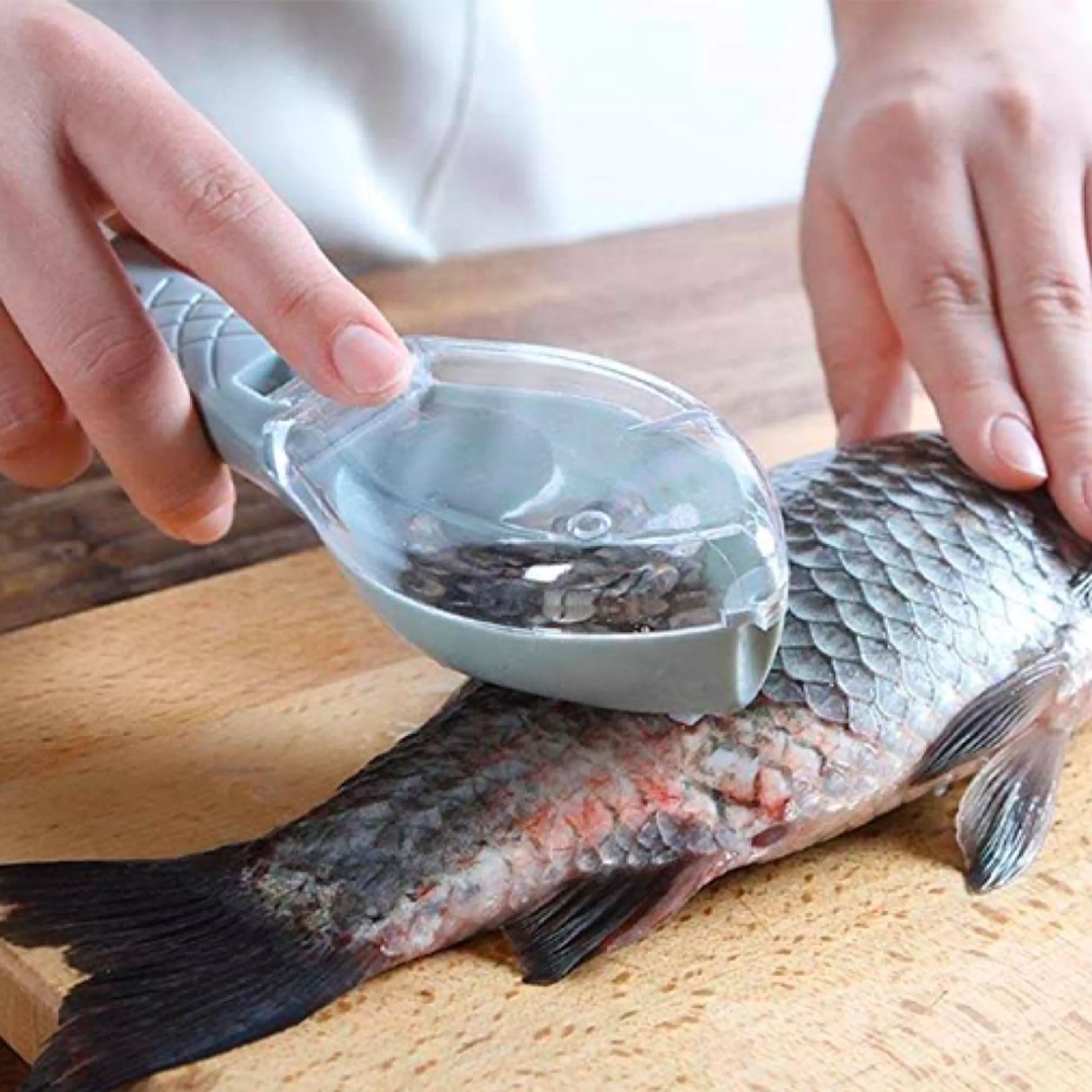 fish scale remover brush