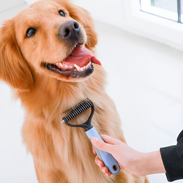 petsafedemattingcomb2
