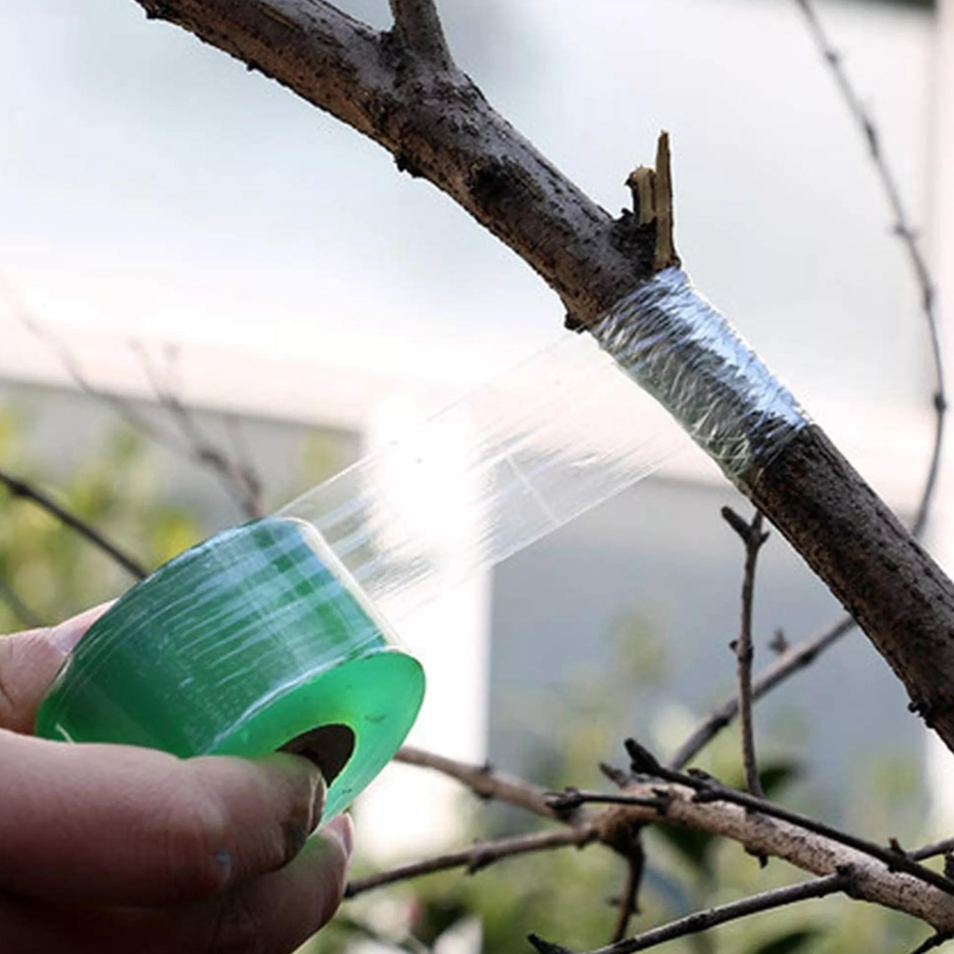 tree grafting tape for plants