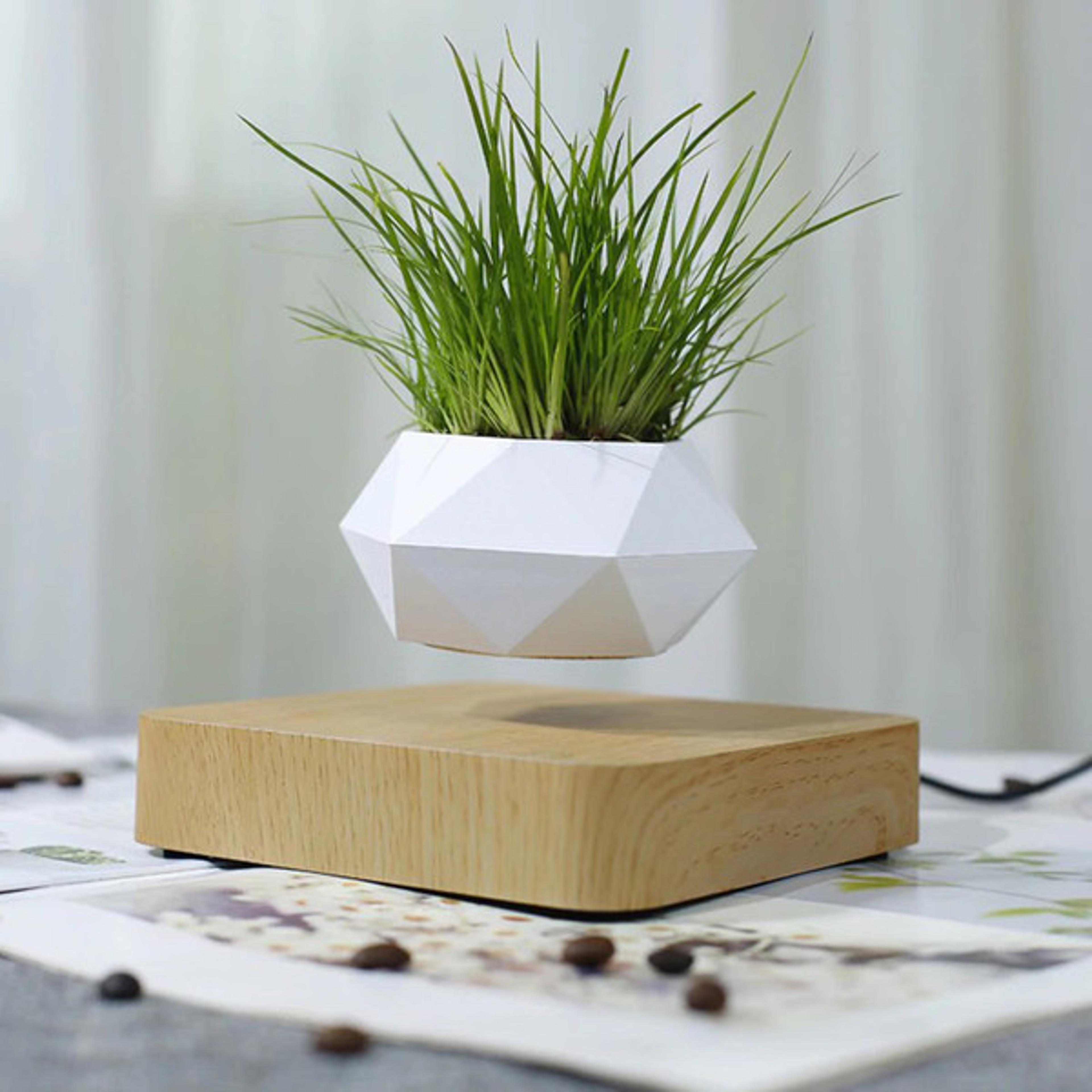 magnetic levitating plant pot for bonsai, real & fake plants