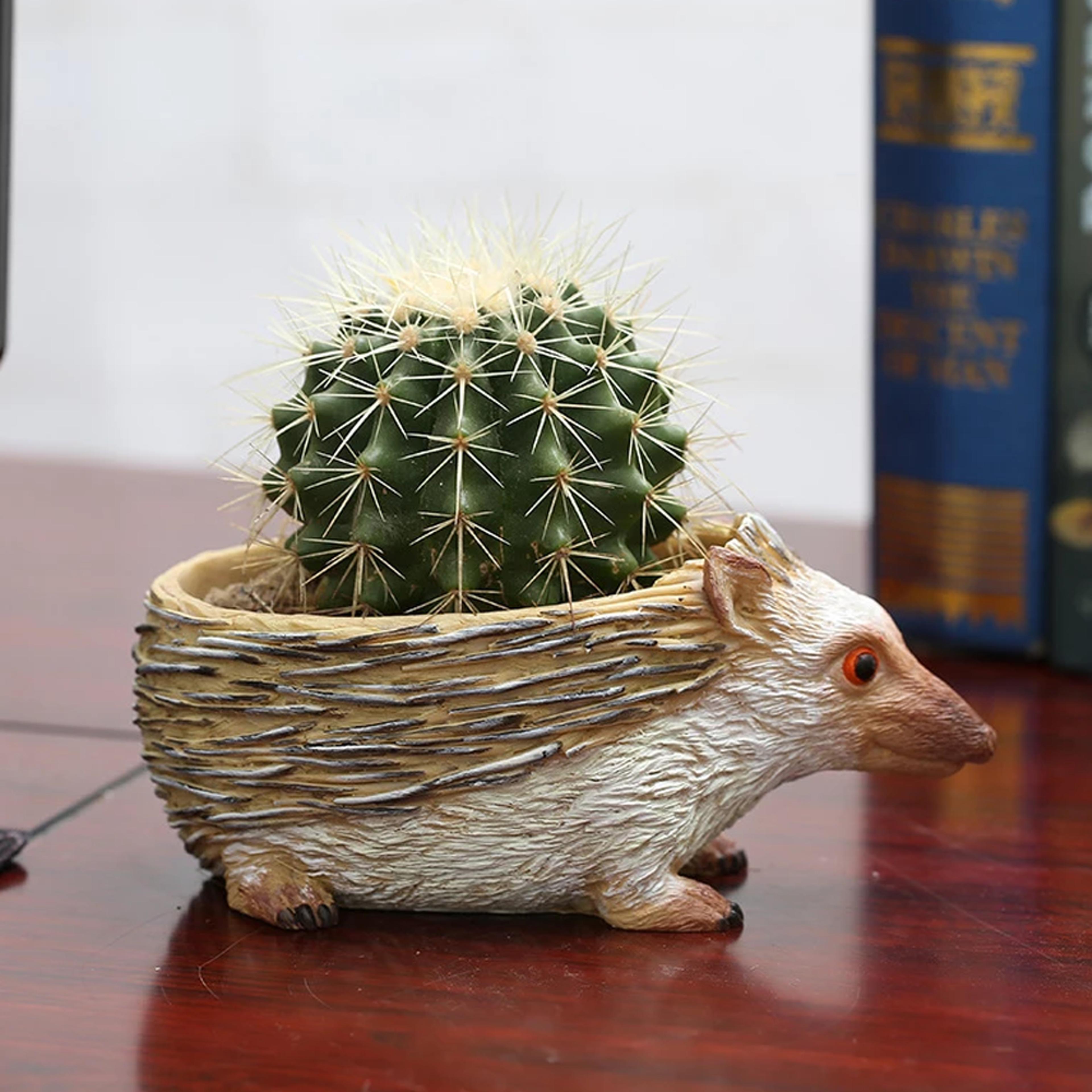 resin hedgehog planter