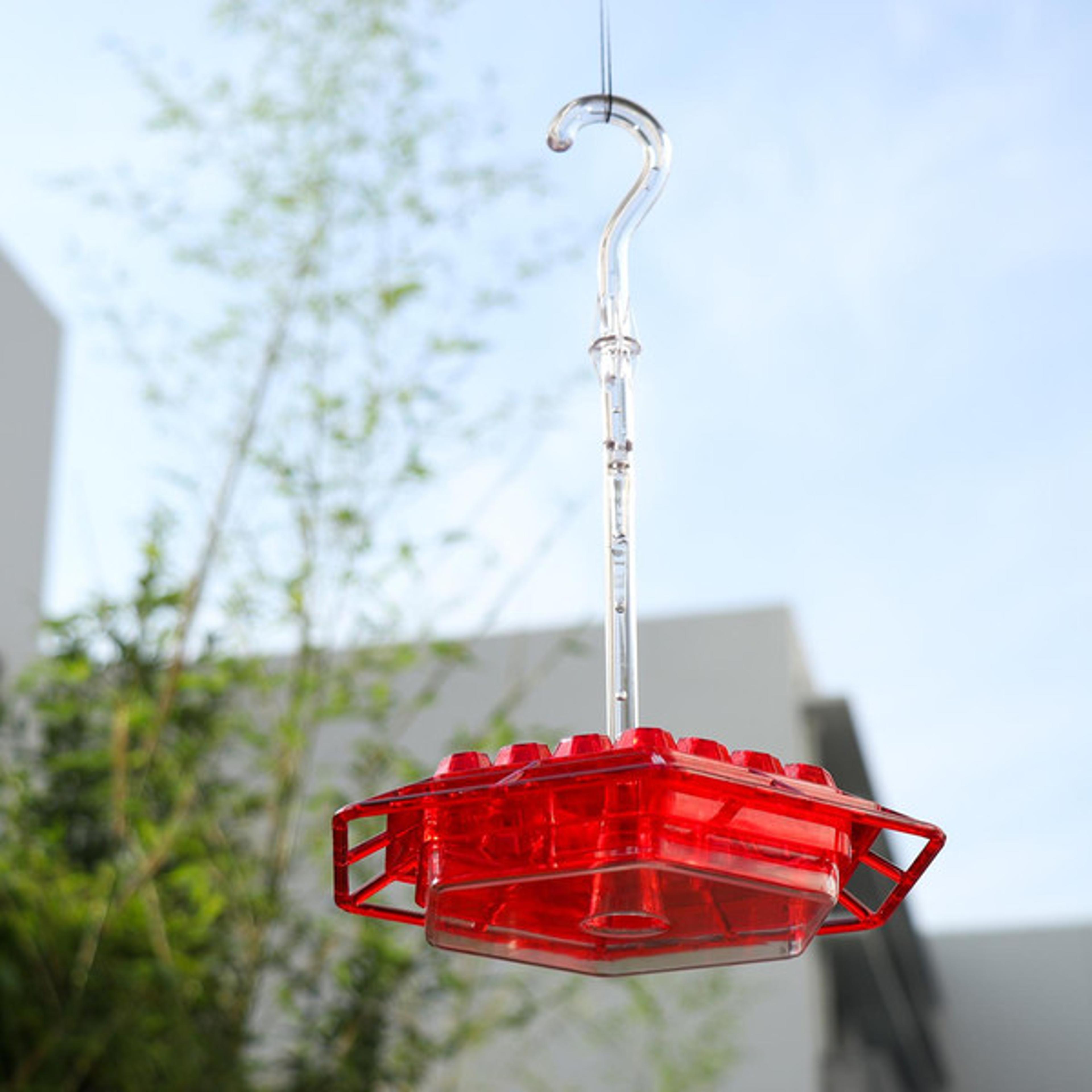 invite the splendor - transparent hummingbird feeder with perch, easy to refill & clean design