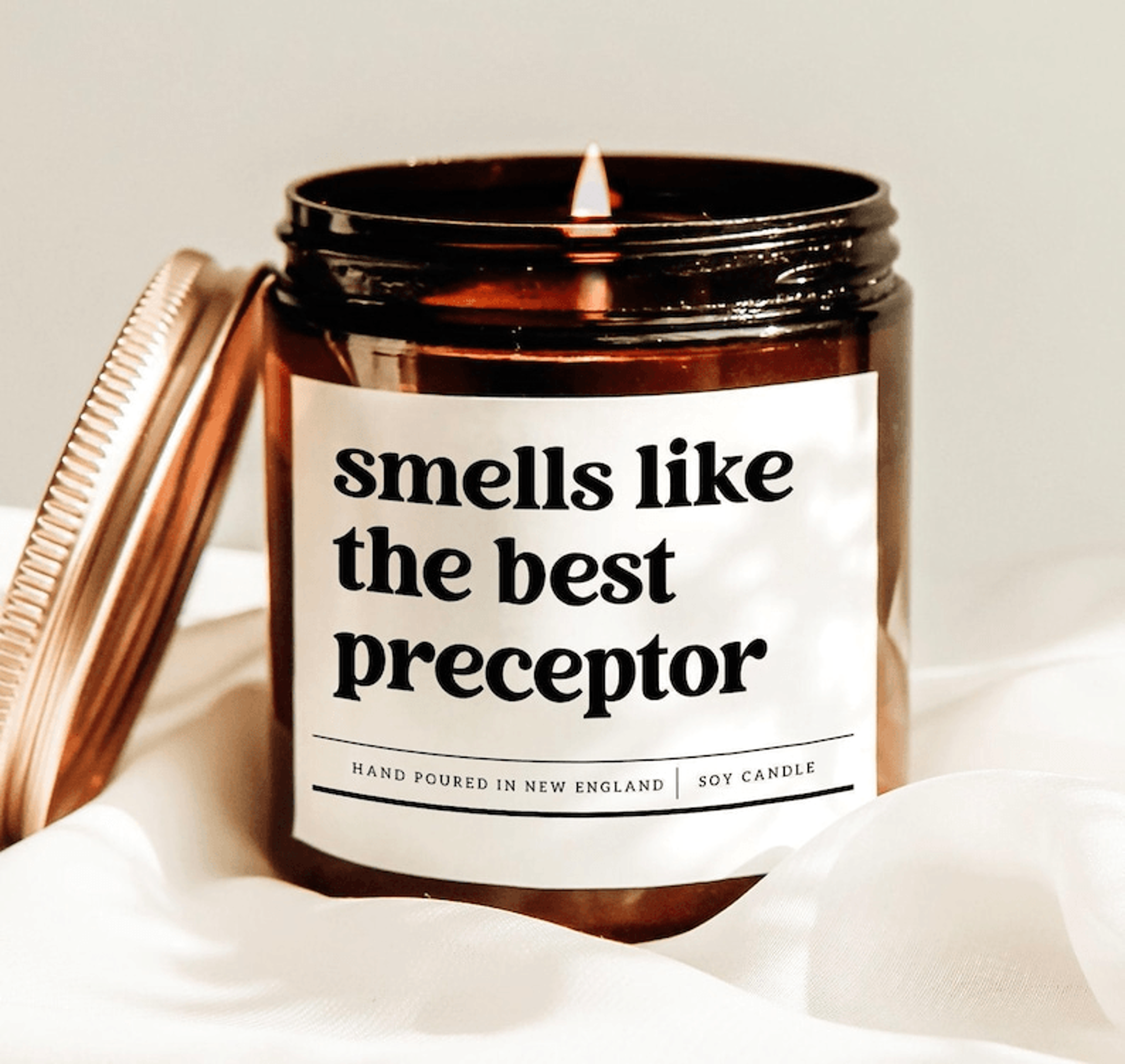 smells like the best preceptor candle, nurse preceptor gift, nursing school mentor appreciation soy candle