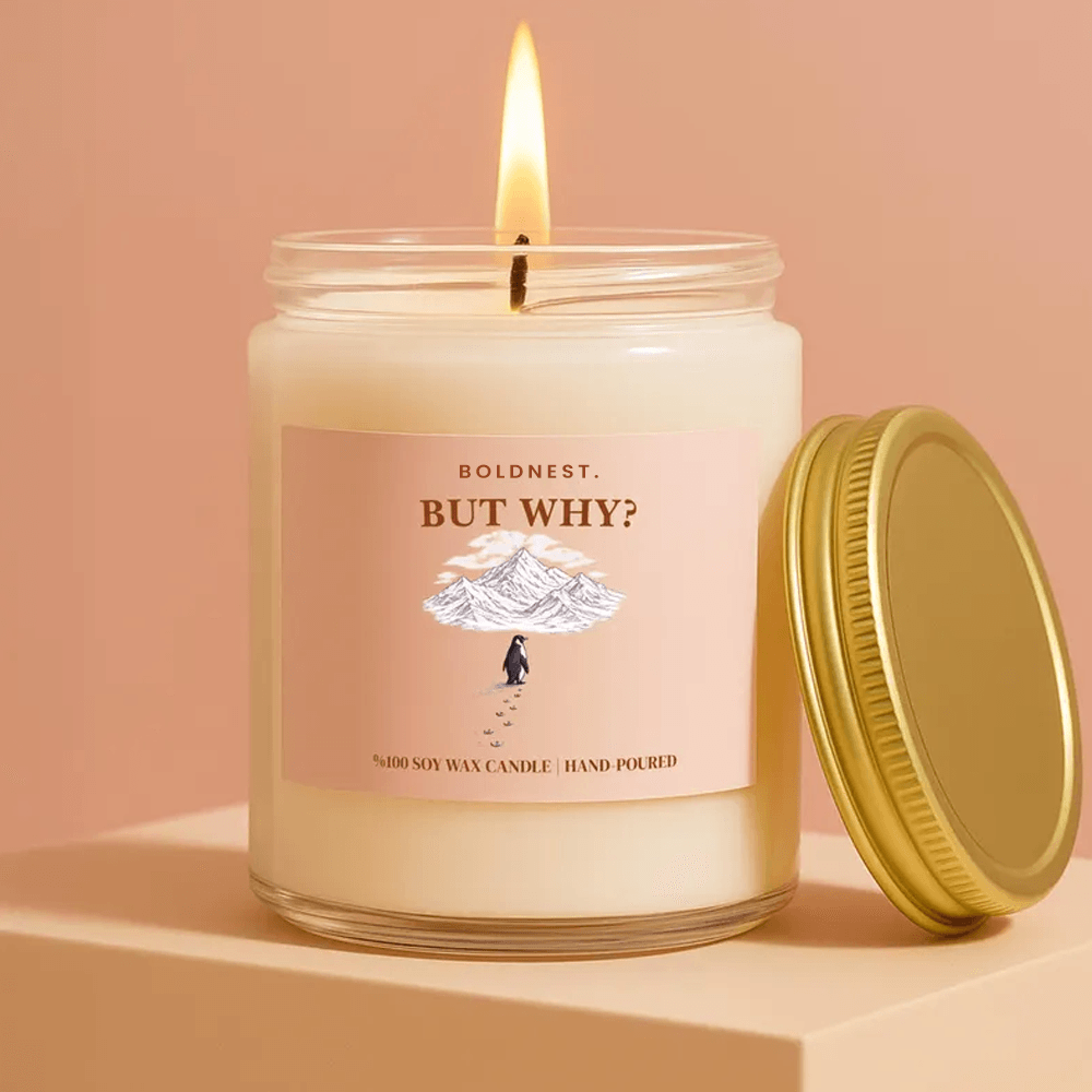 but why candle, funny introvert gift, social anxiety candle, antisocial gift, sarcastic candle, overthinking gift