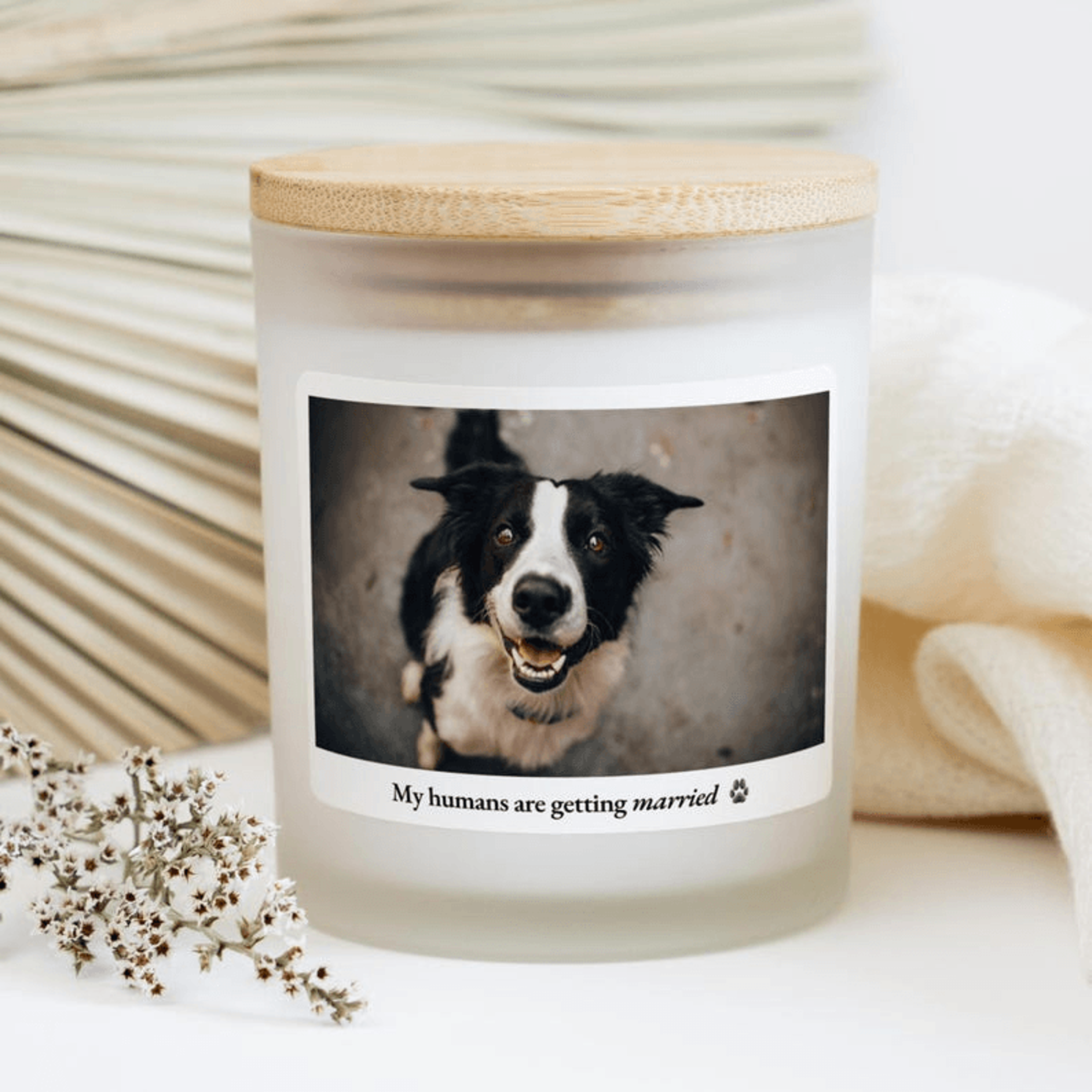 dog wedding announcement candle, my humans are getting married candle, personalized pet photo candle, dog lover wedding