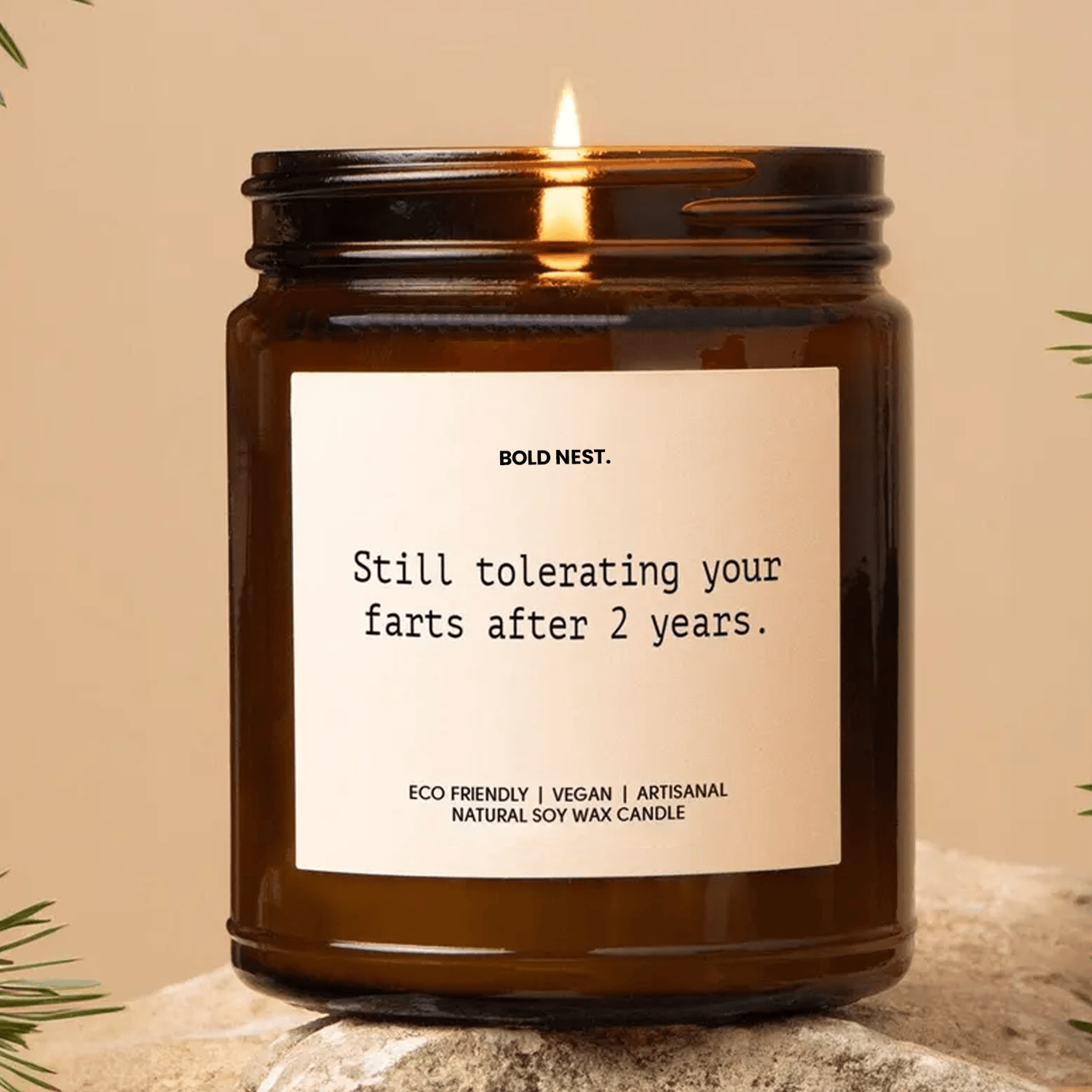 still tolerating your farts funny anniversary soy wax candle