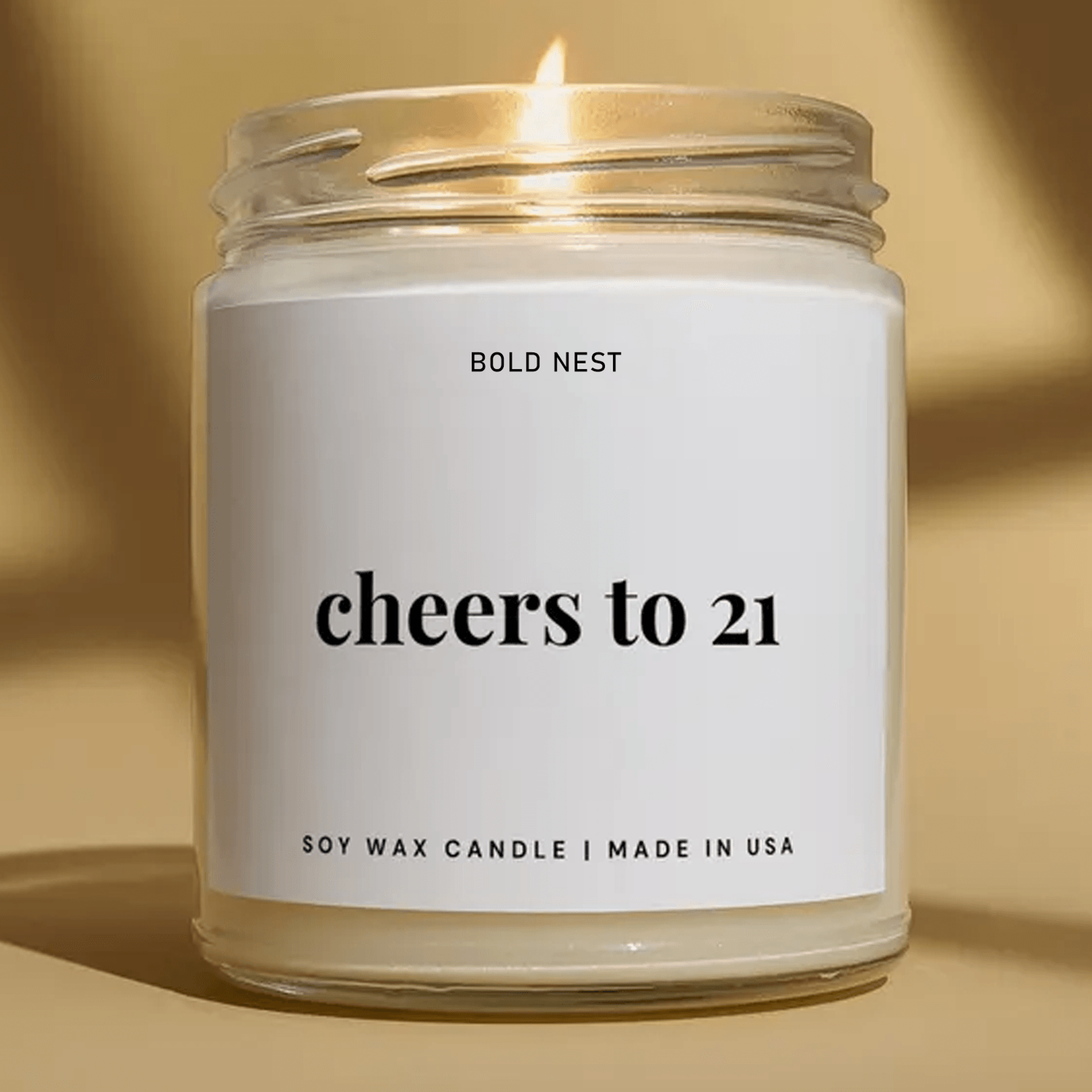 21st birthday candle, funny 21st birthday gift for her, cheers to 21 soy candle, best friend birthday gift, milestone gi