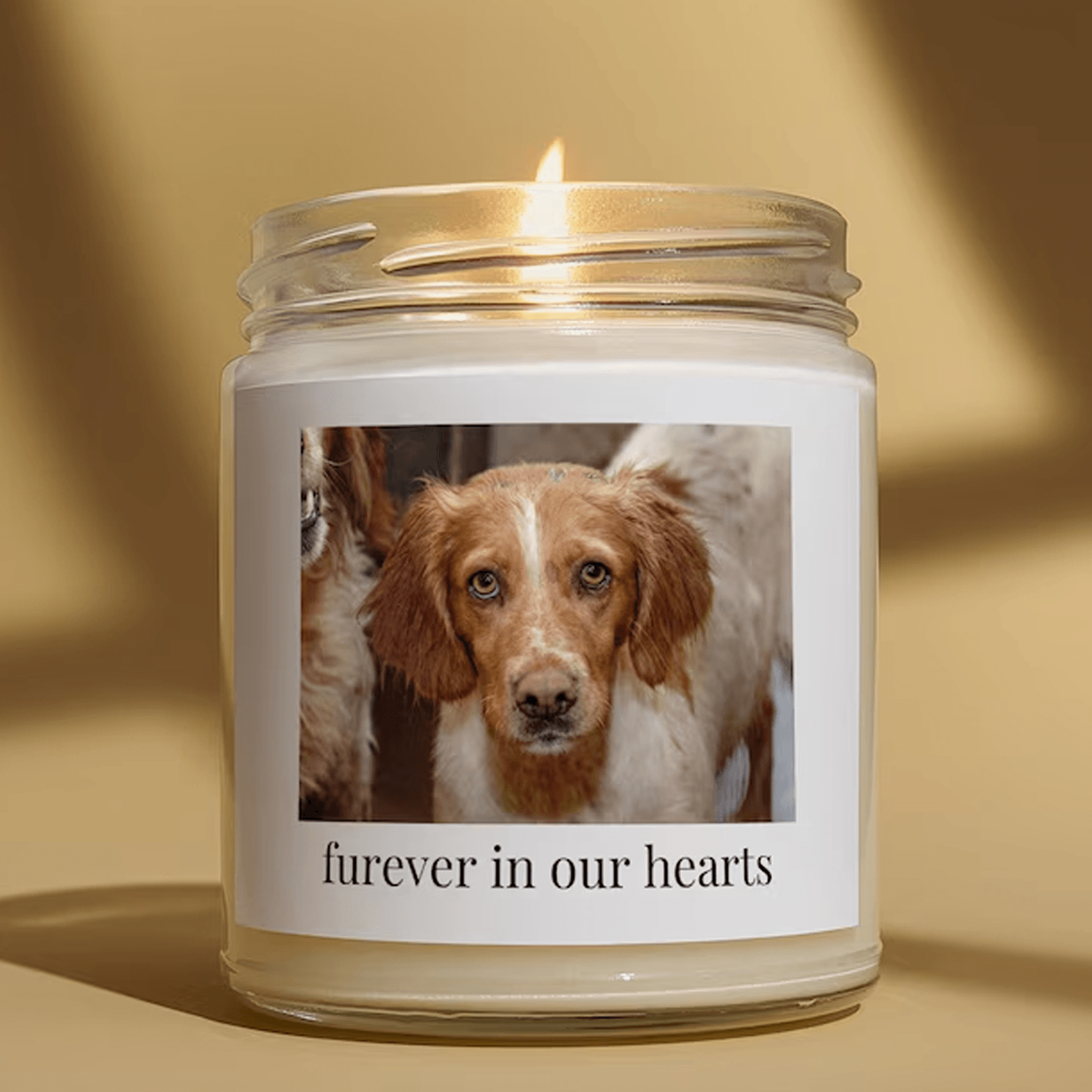 promoted to human parents candle, dog parents pregnancy announcement gift, expecting parents soy candle, new baby reveal