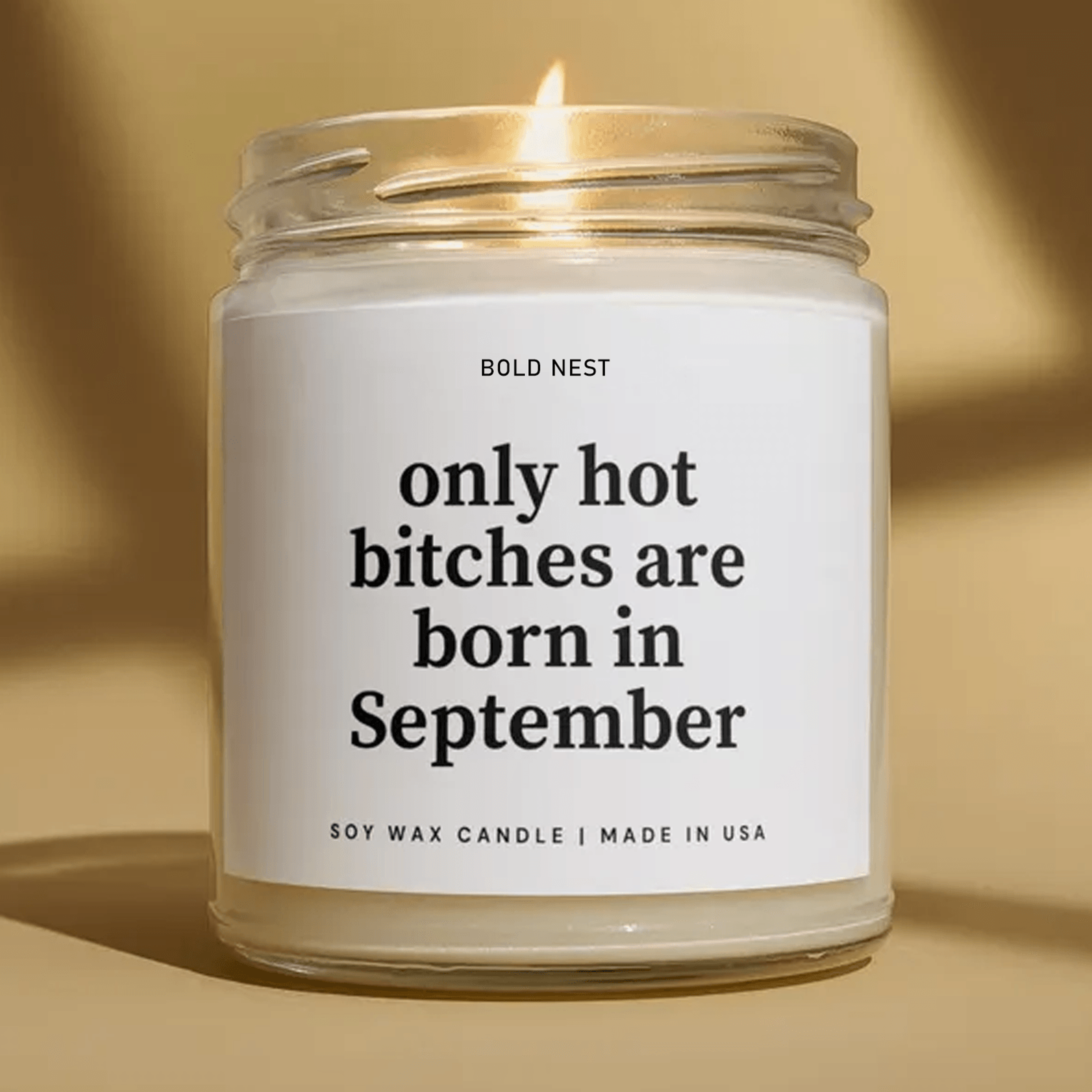 funny september birthday candle, september birthday gift, virgo libra candle, birthday gift for her, best friend candle