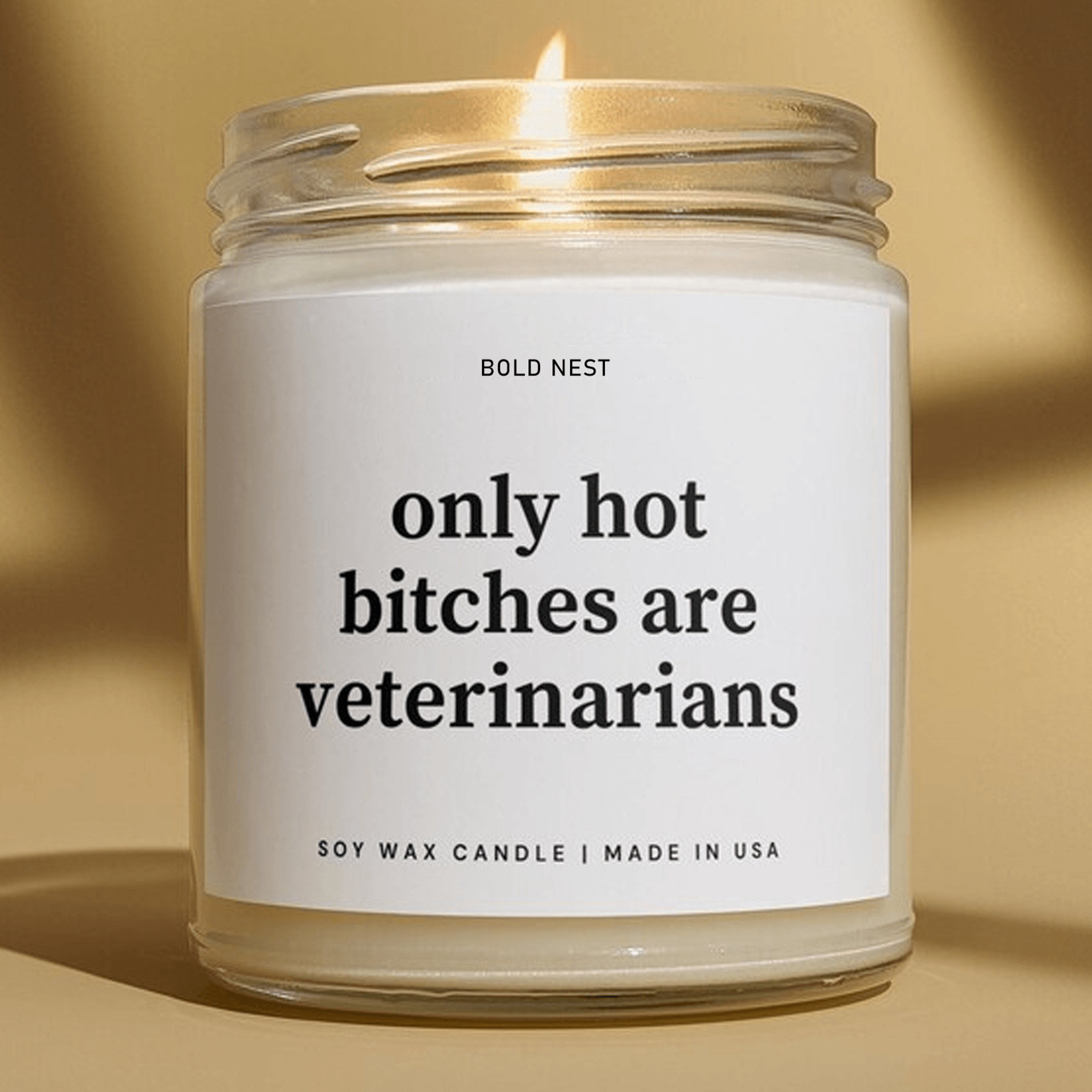 funny veterinarian candle, veterinarian gift for her, vet graduation gift, vet school gift, animal doctor candle