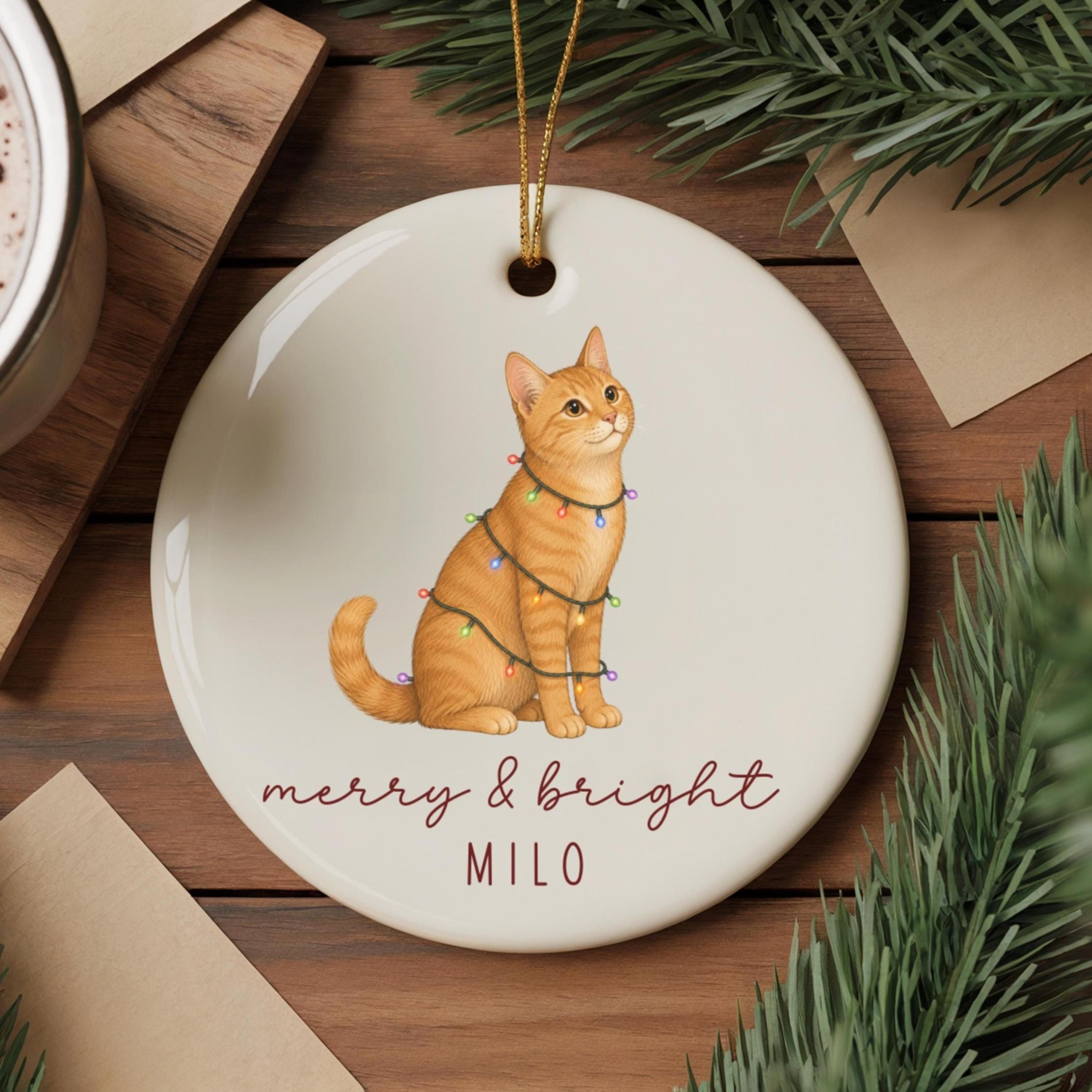 personalized orange cat christmas ornament, custom orange tabby cat ornament, ginger cat lover gift, custom pet name