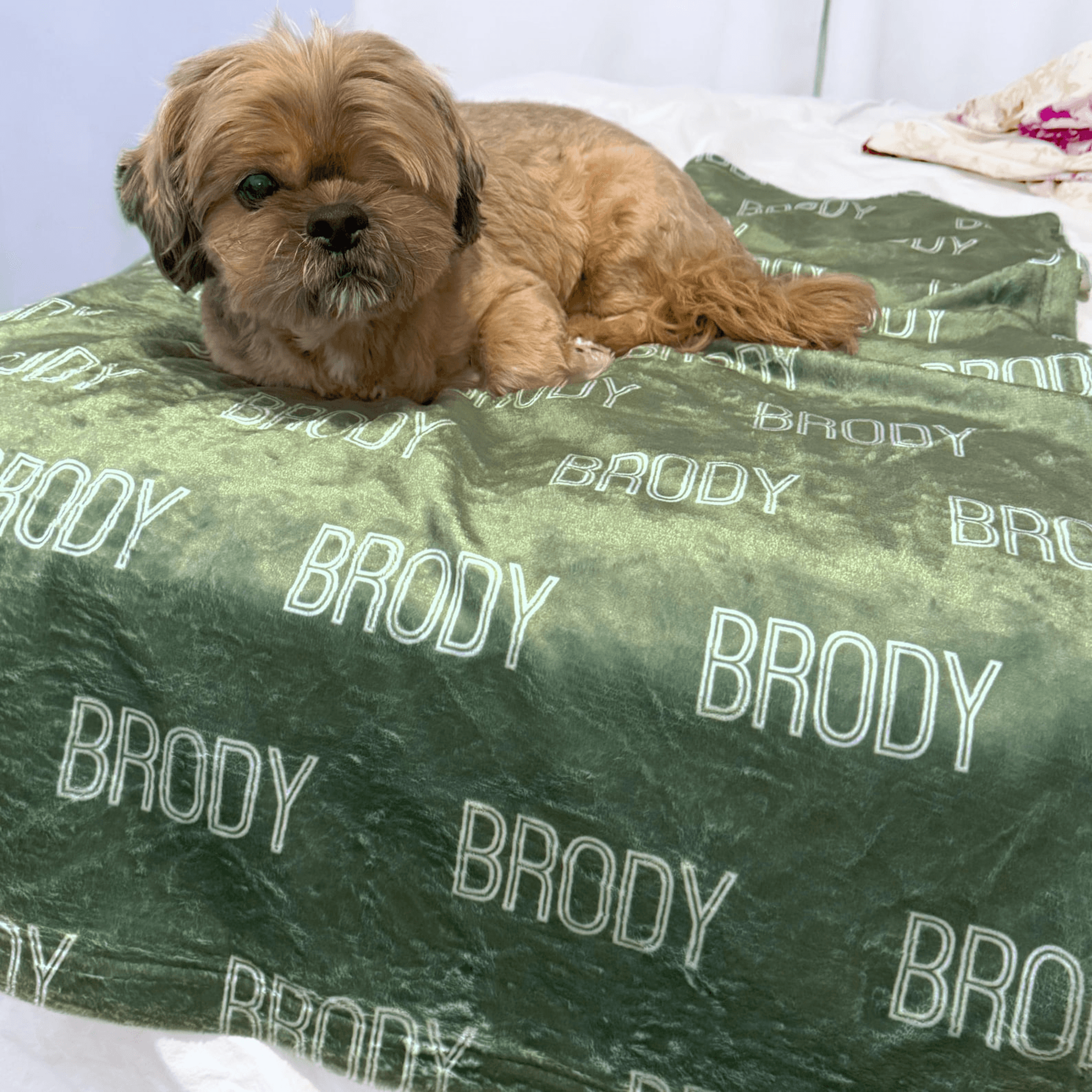 personalized dog name blanket custom pet name throw gift for dog lovers