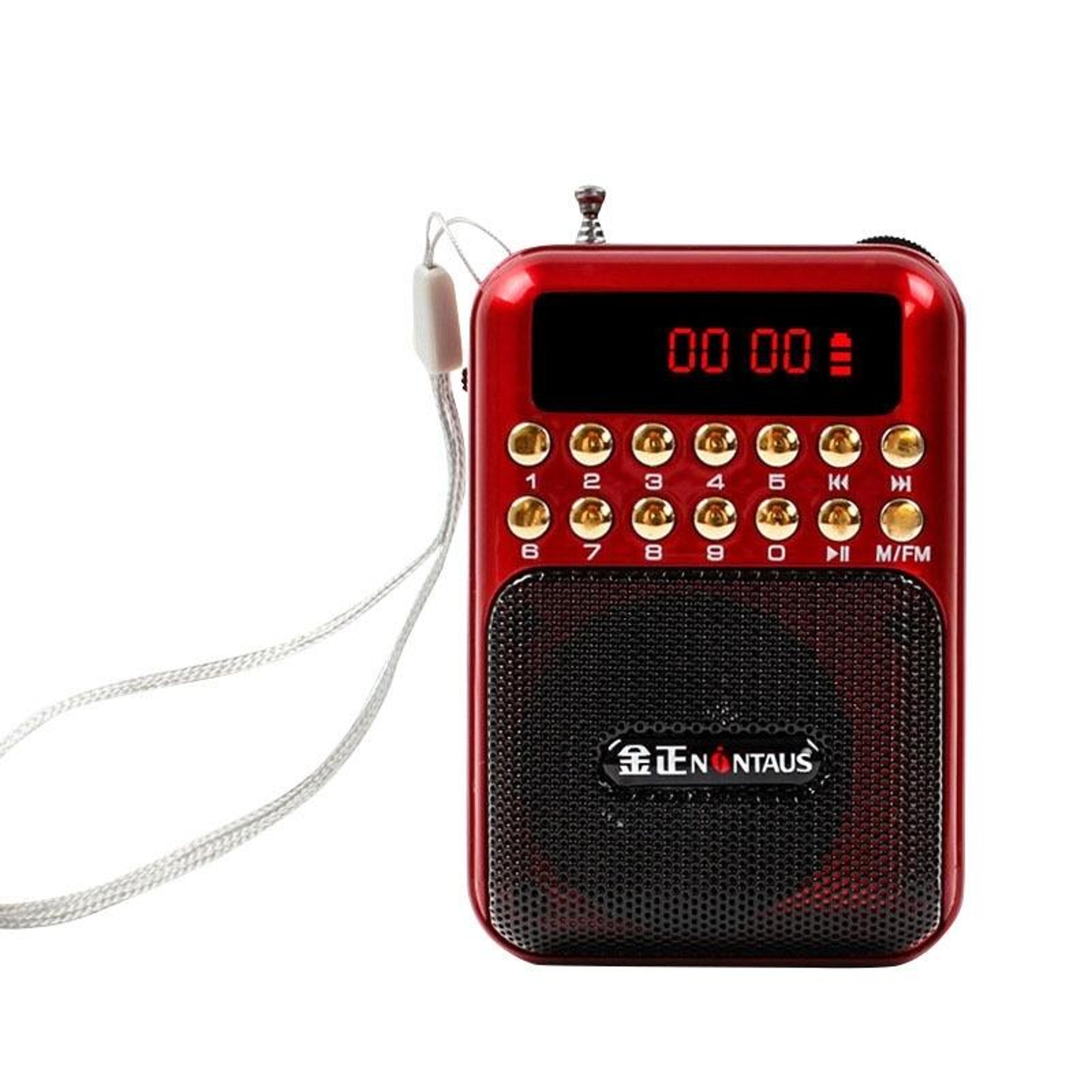 portable fm radio & rechargeable mp3 player speaker with usb and tf card support
