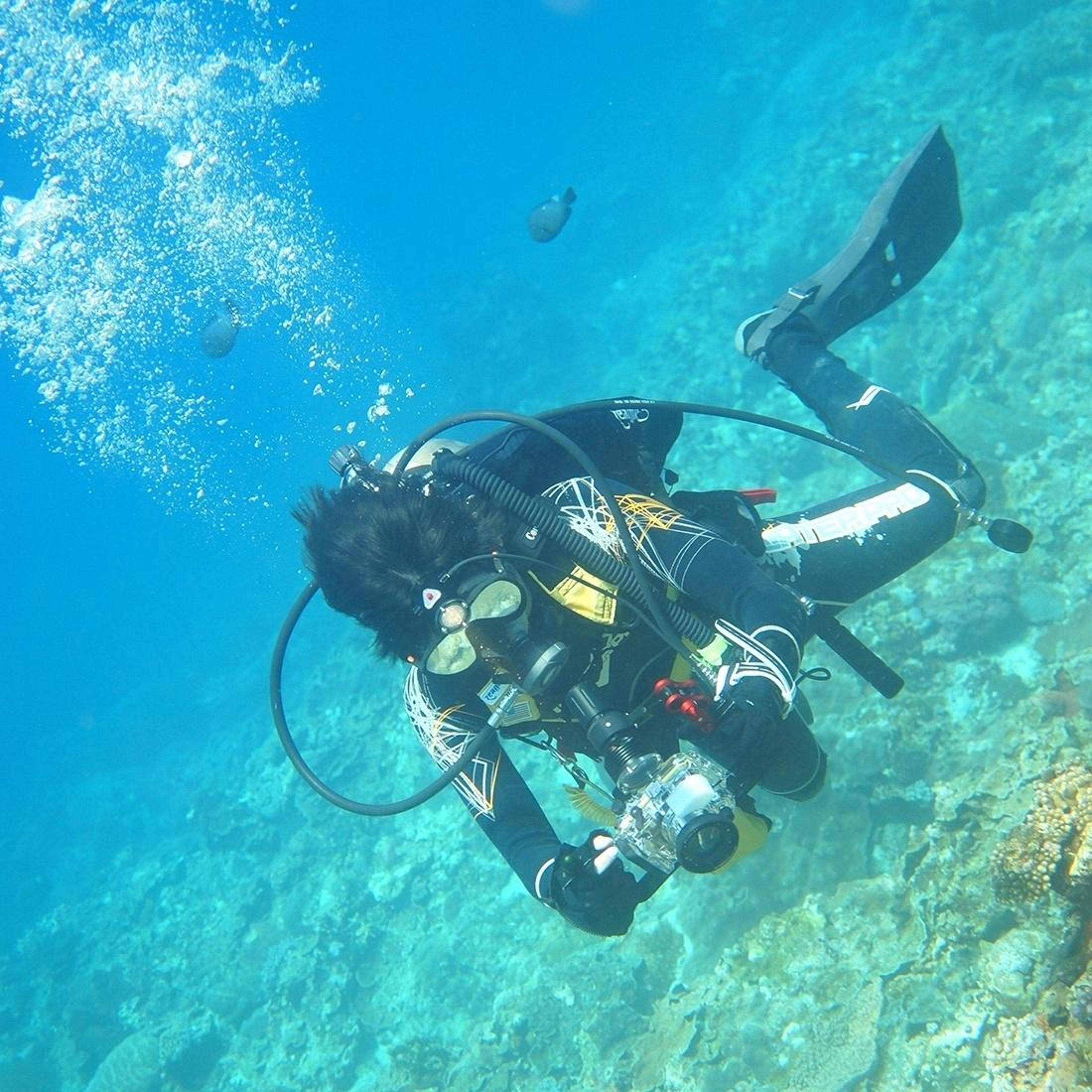 puluz dual handle underwater camera rig & action camera stabilizer for gopro, insta360 & dji
