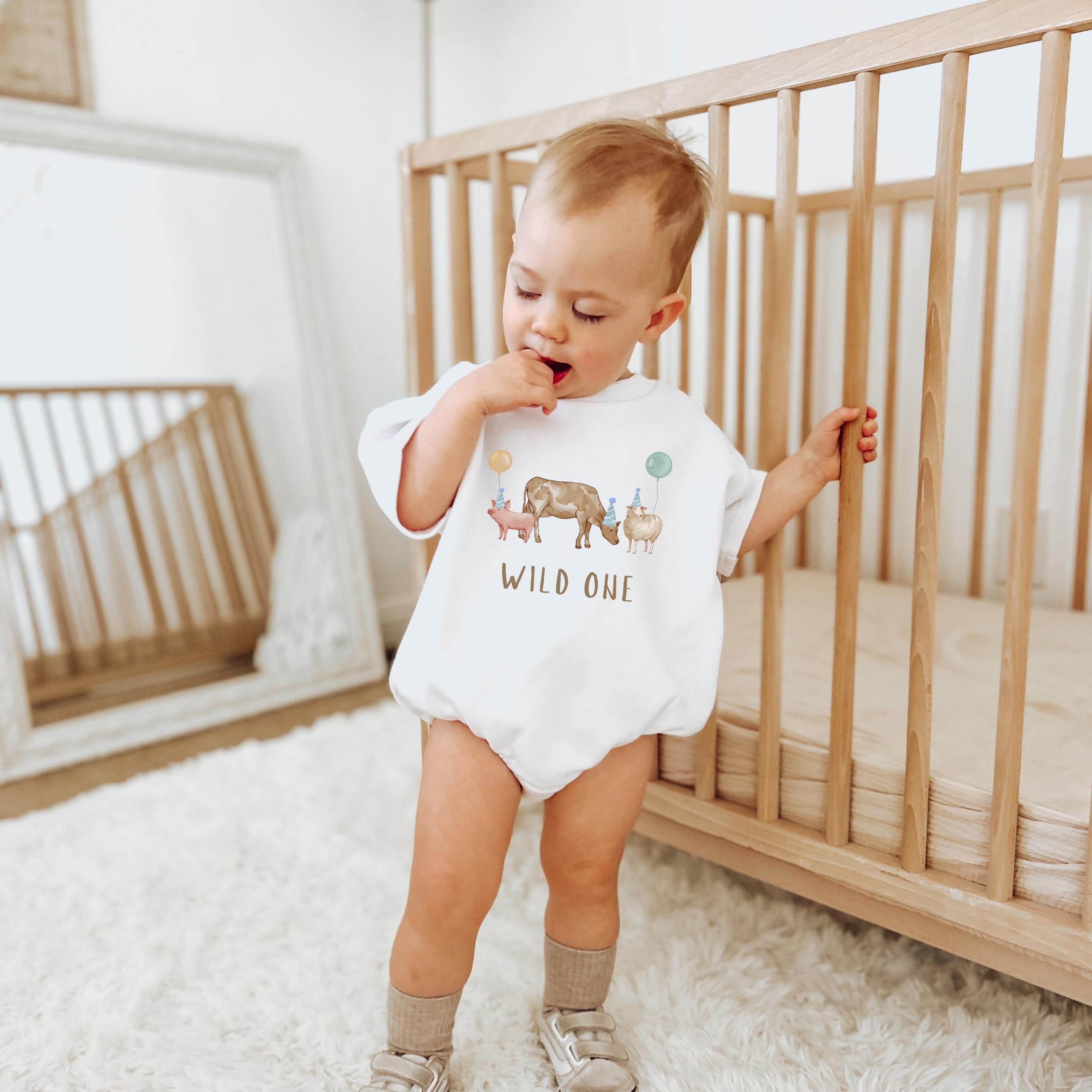 barnyard first birthday outfit, farm birthday shirt, farm animal birthday romper, barnyard birthday tee, cake smash outf
