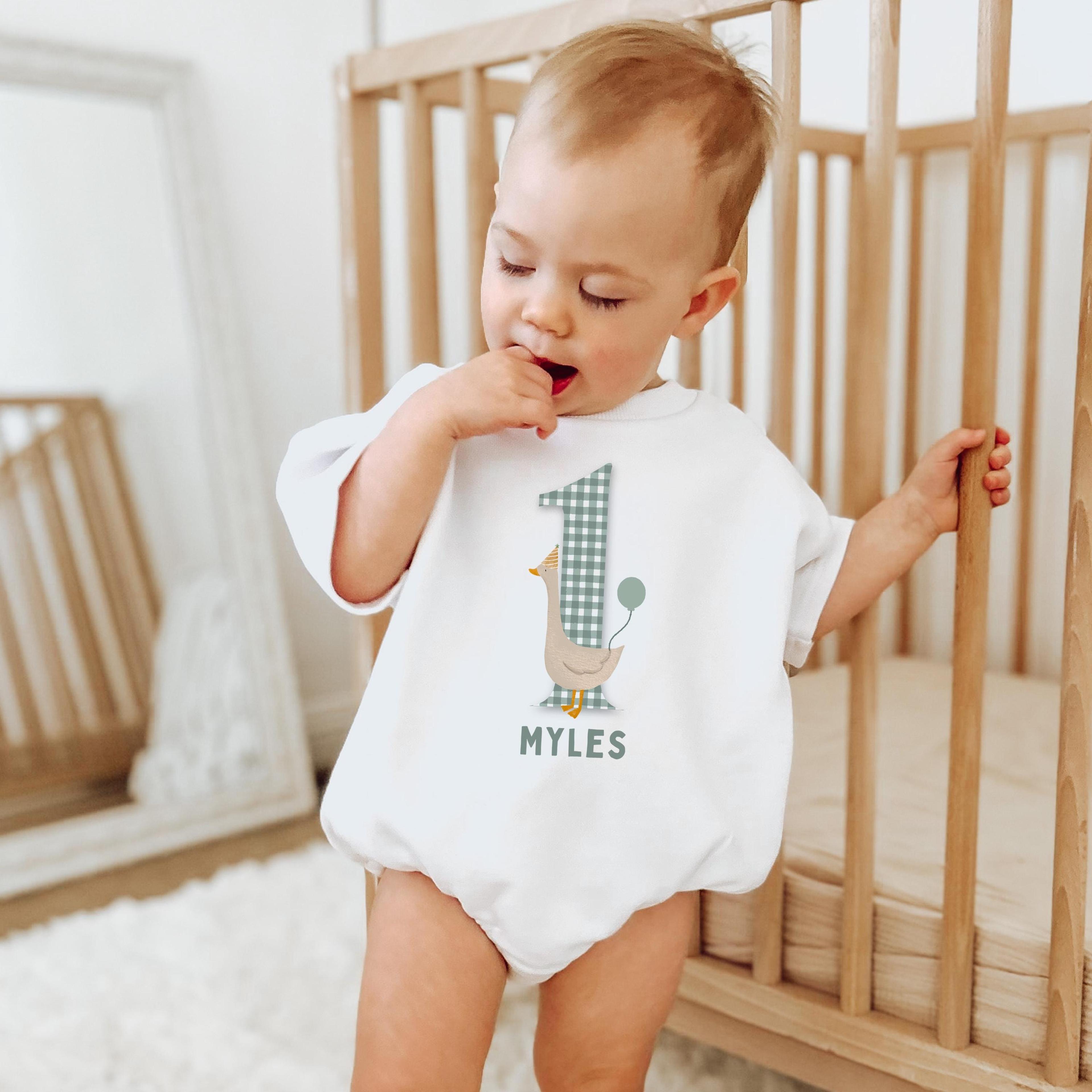 silly goose birthday shirt, goose birthday outfit, sage green birthday tee, funny birthday shirt, birthday party outfit