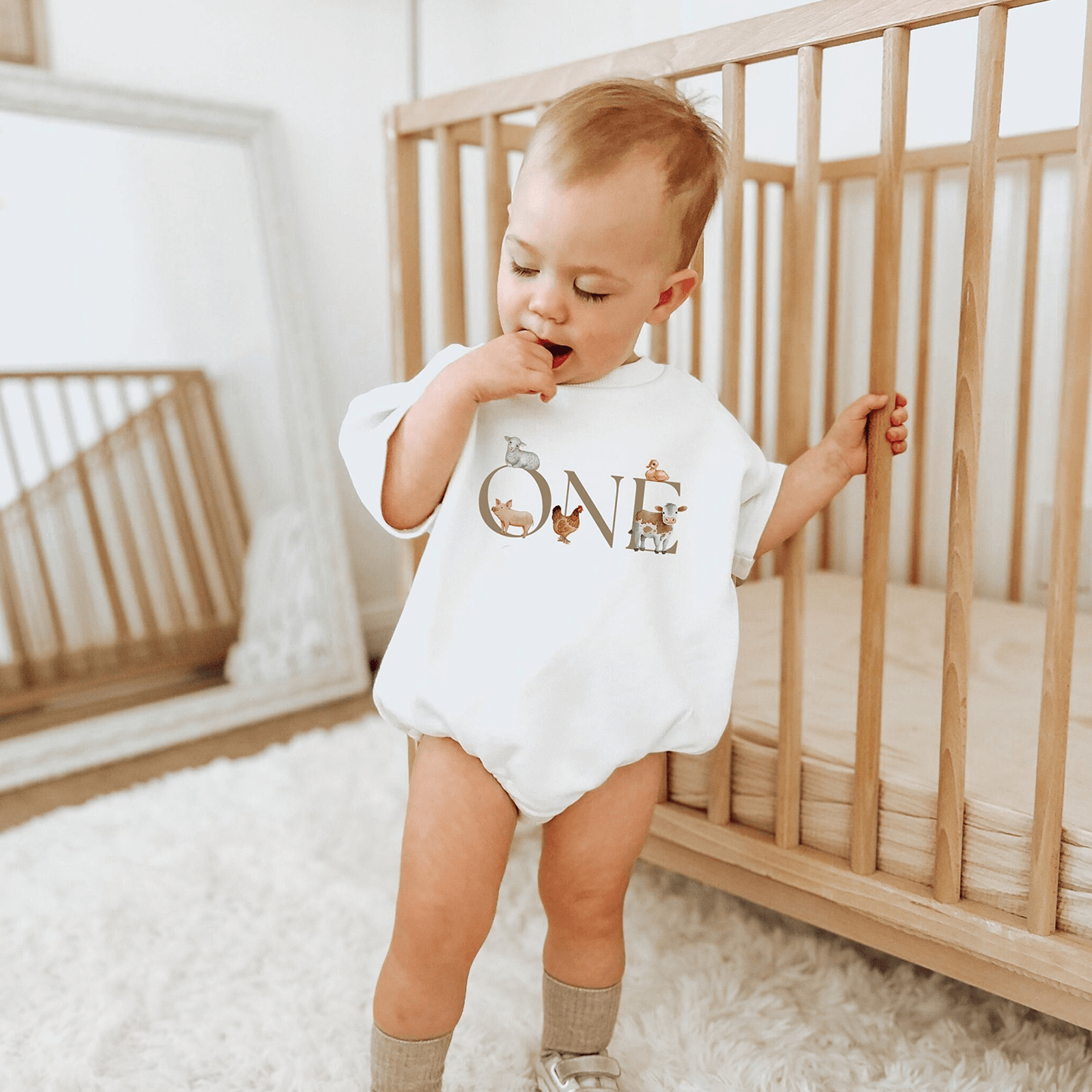 barnyard first birthday outfit, farm birthday romper, barn birthday shirt, first birthday outfit, cake smash outfit