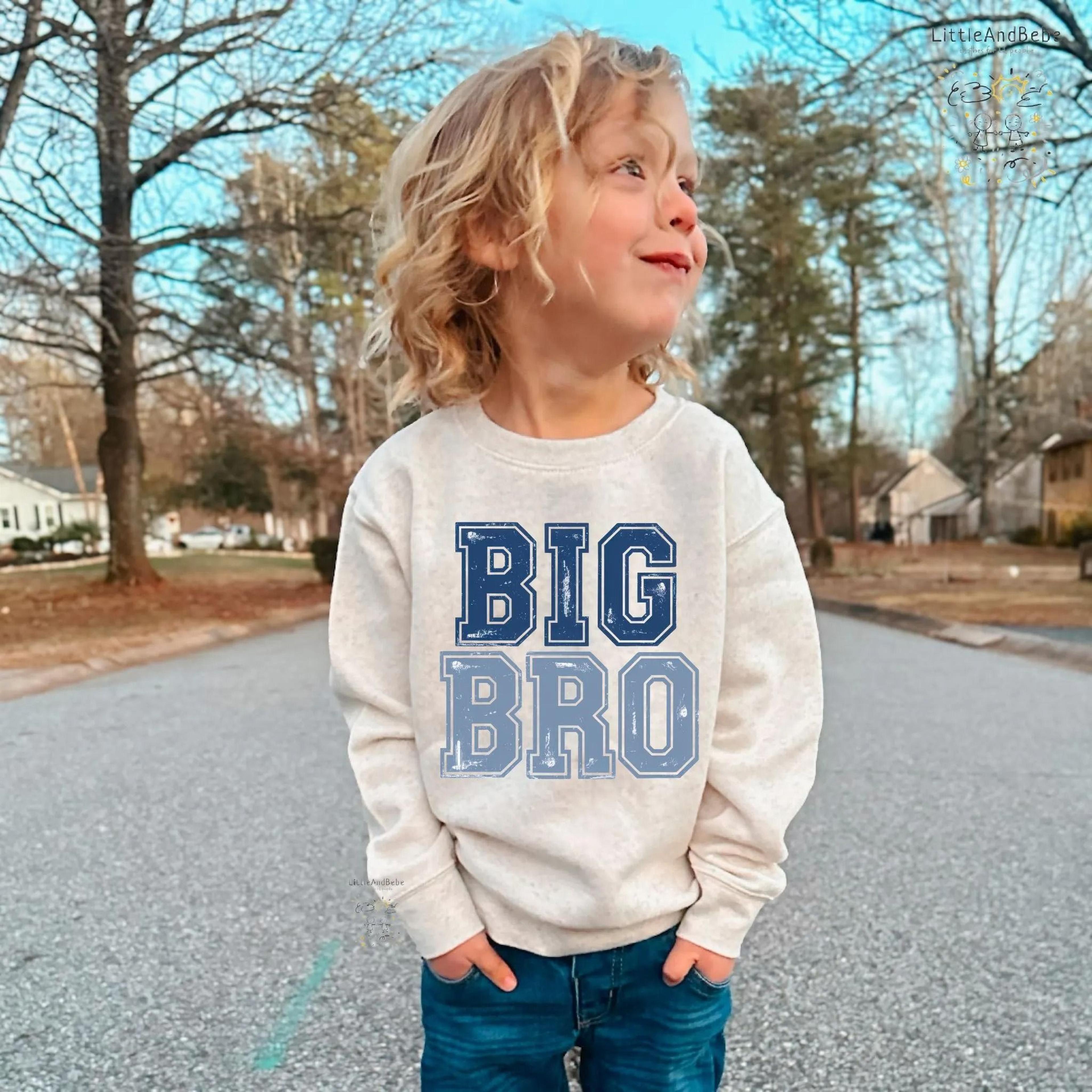 big bro sweatshirt, big brother kids sweatshirt, pregnancy announcement big bro shirt, sibling reveal sweatshirt