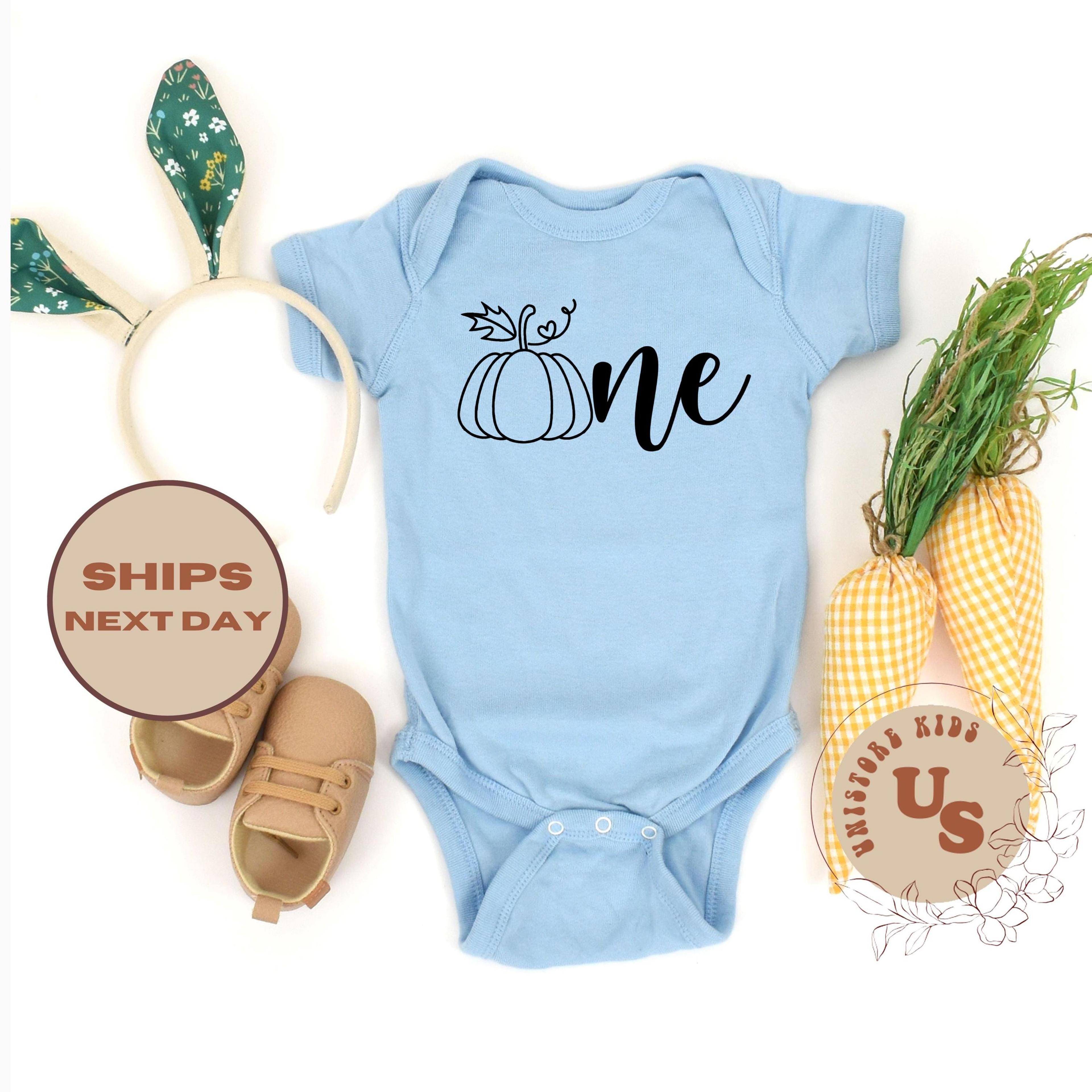 one pumpkin baby bodysuit, pumpkin baby onesie, first fall baby outfit, cute halloween baby gift, infant bodysuit