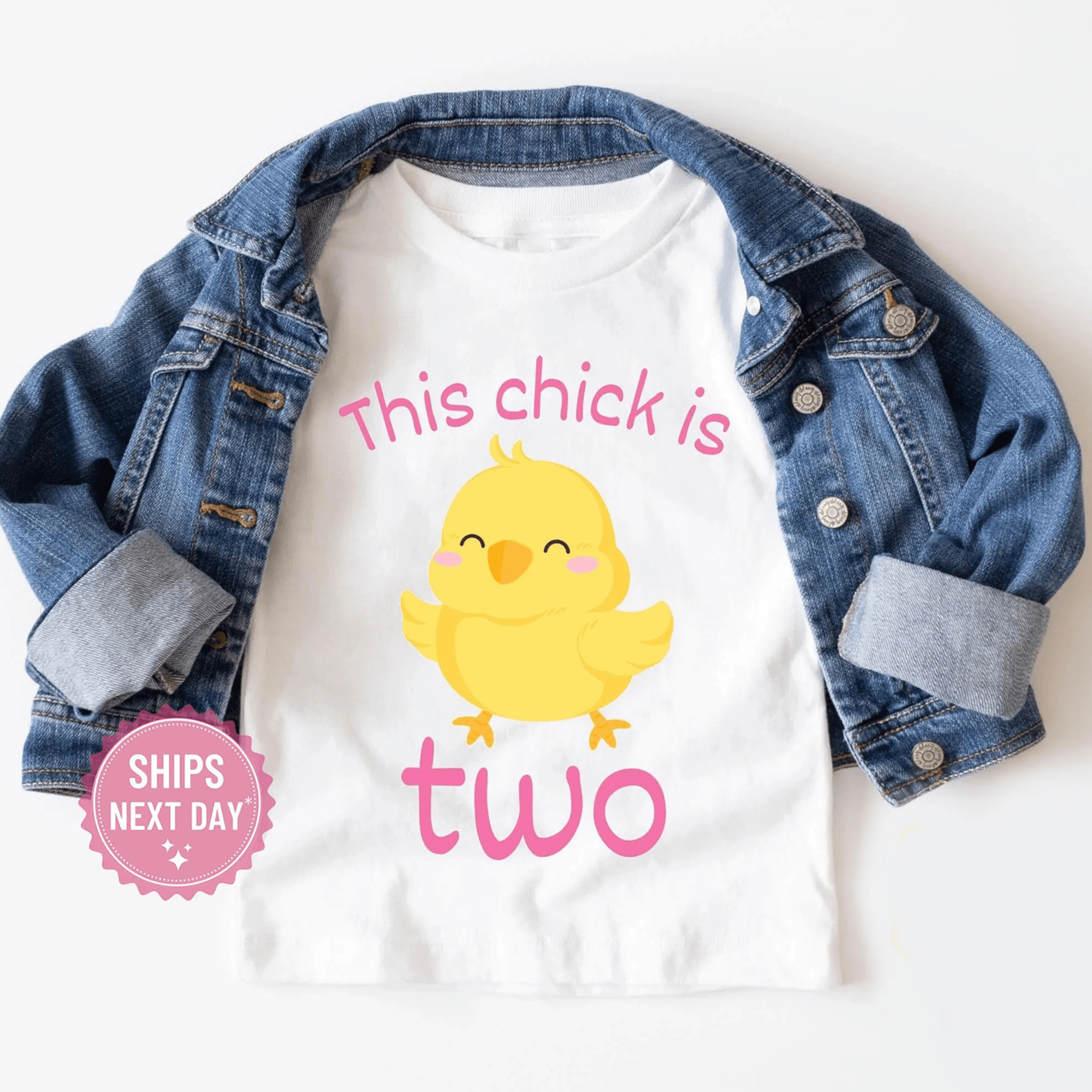 this chick is two birthday shirt, 2nd birthday girl youth t-shirt, kids tee, youth sweatshirt, chick birthday
