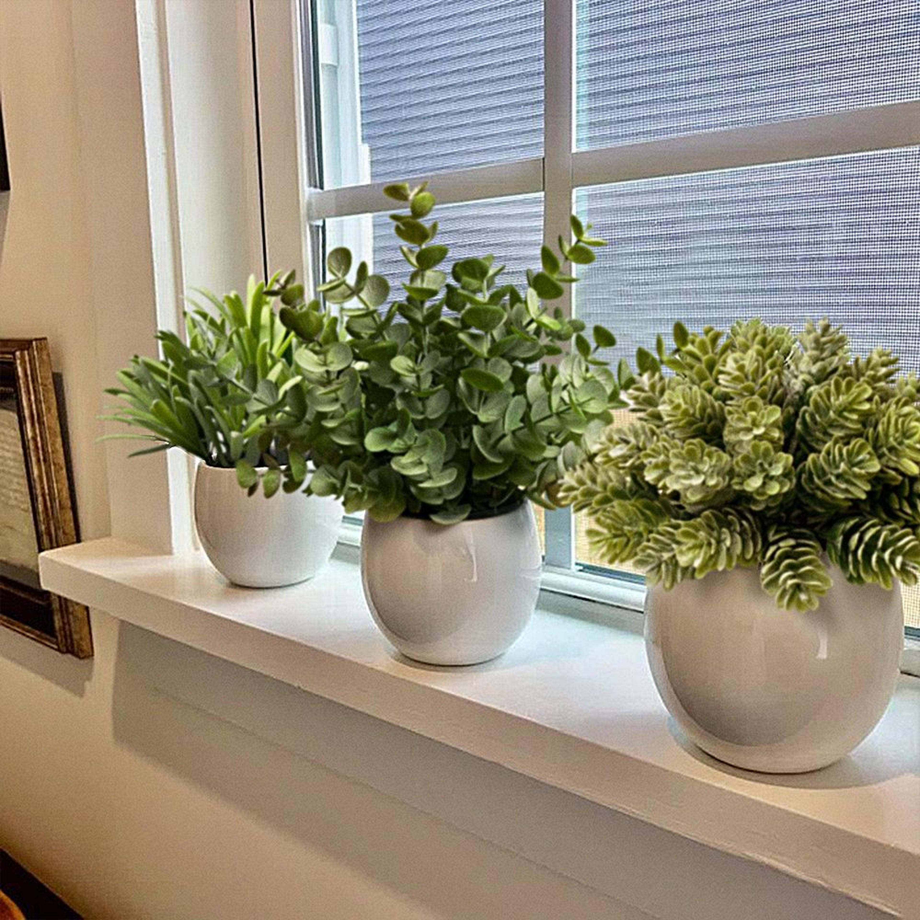 evergreen trio faux eucalyptus plants in white ceramic pots