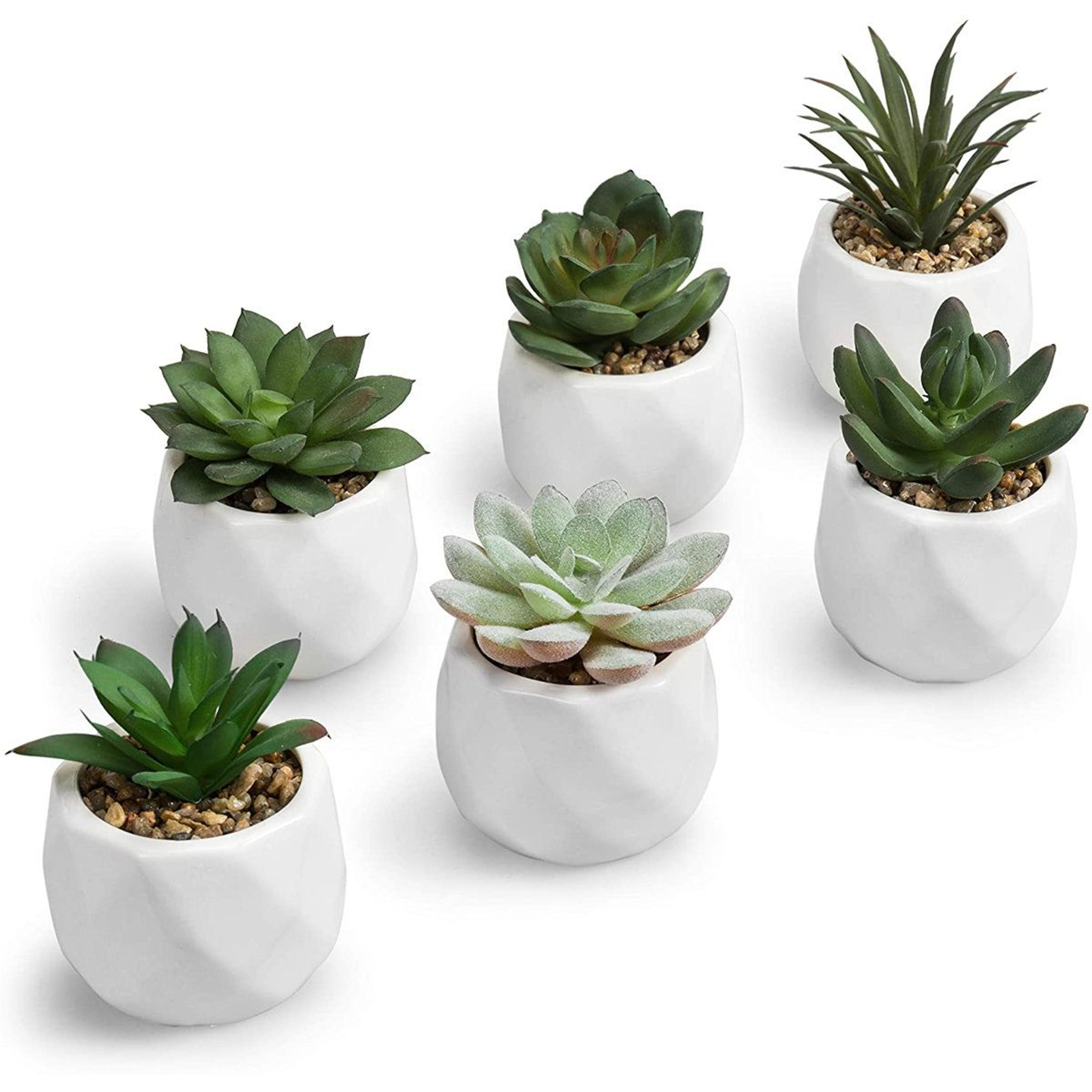 jarema mini artificial succulents in ceramic pots set of 6