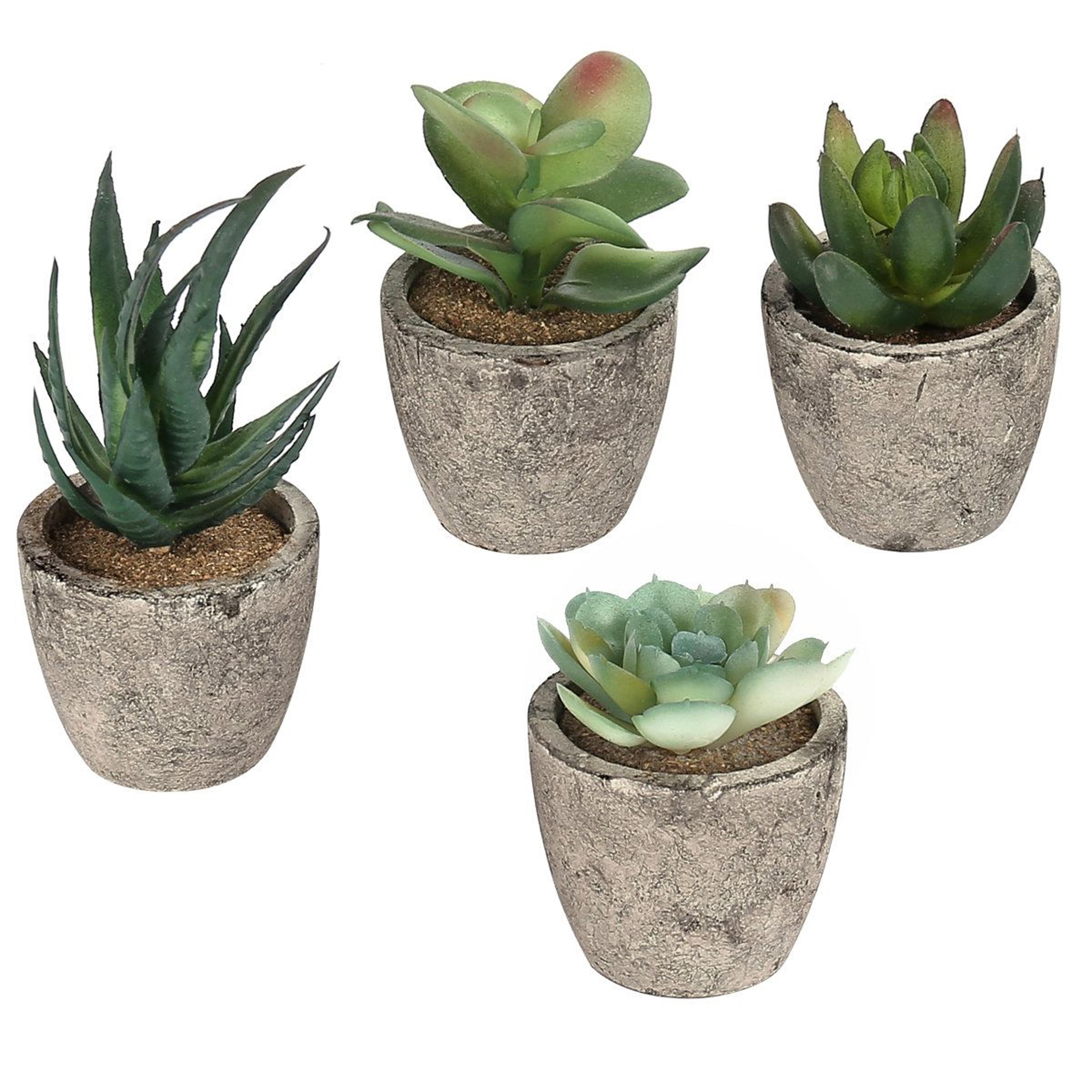 4 piece mini faux succulent plants in modern gray pots