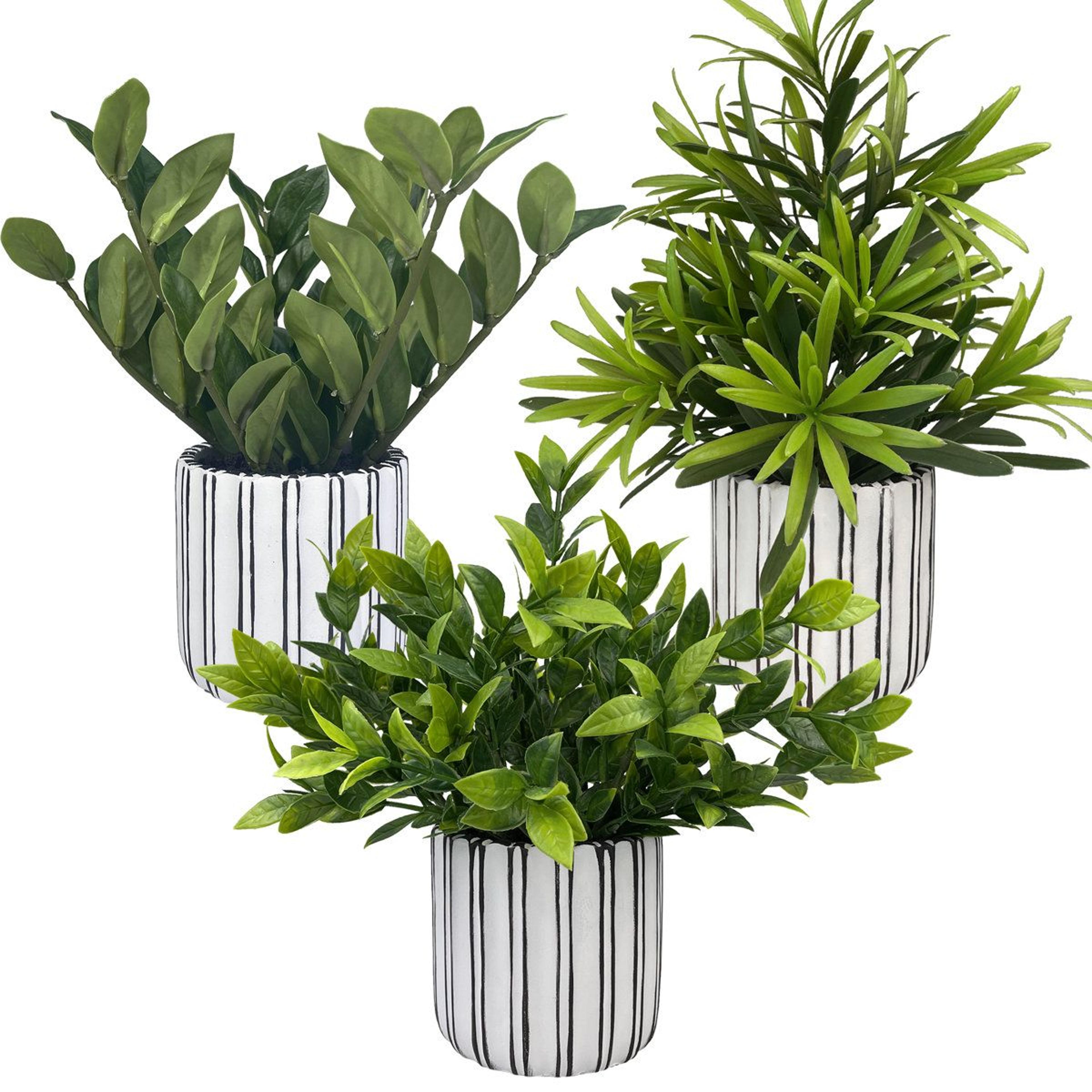 lifelike artificial fern plants in white ceramic pots set of 3
