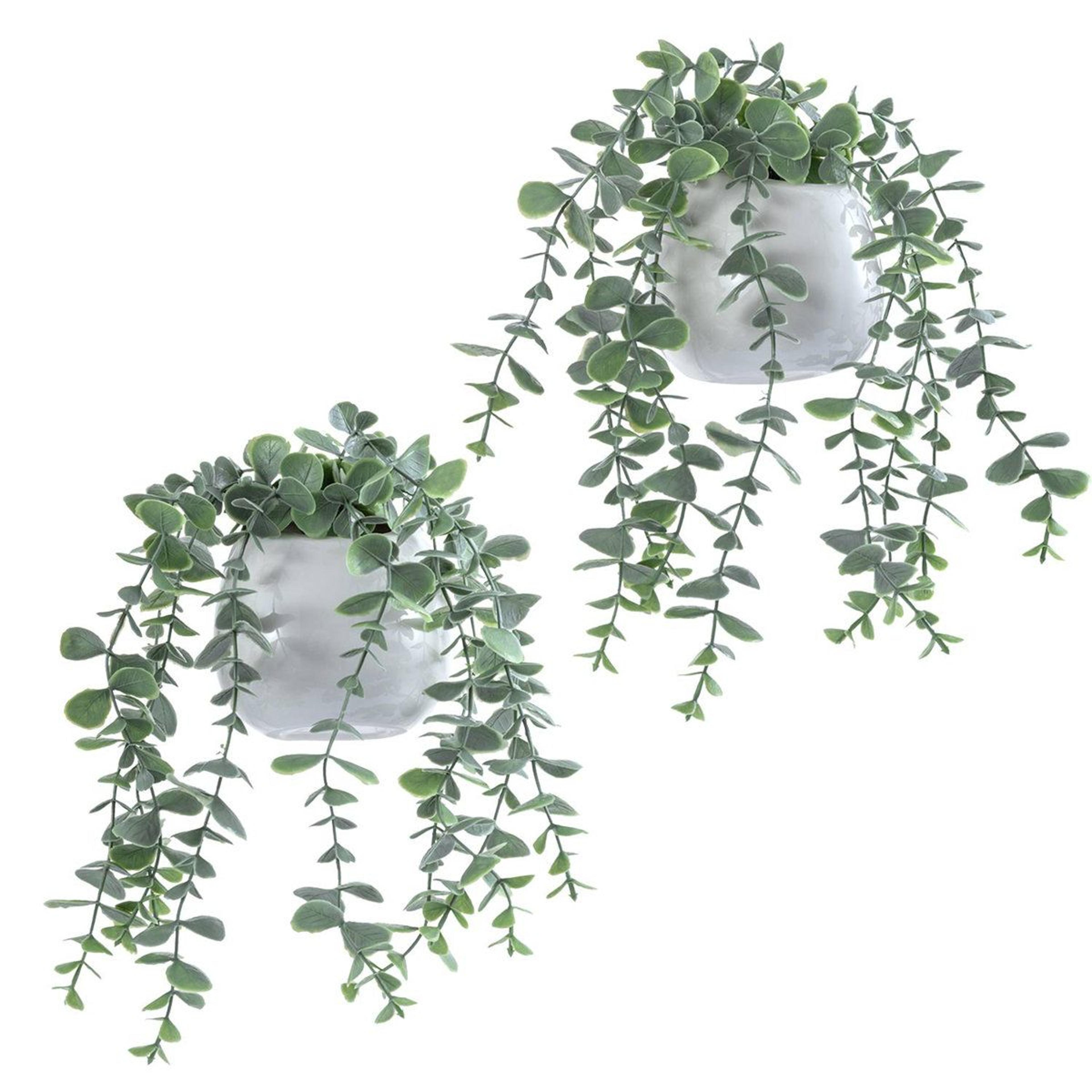 faux eucalyptus wall planters set of 2