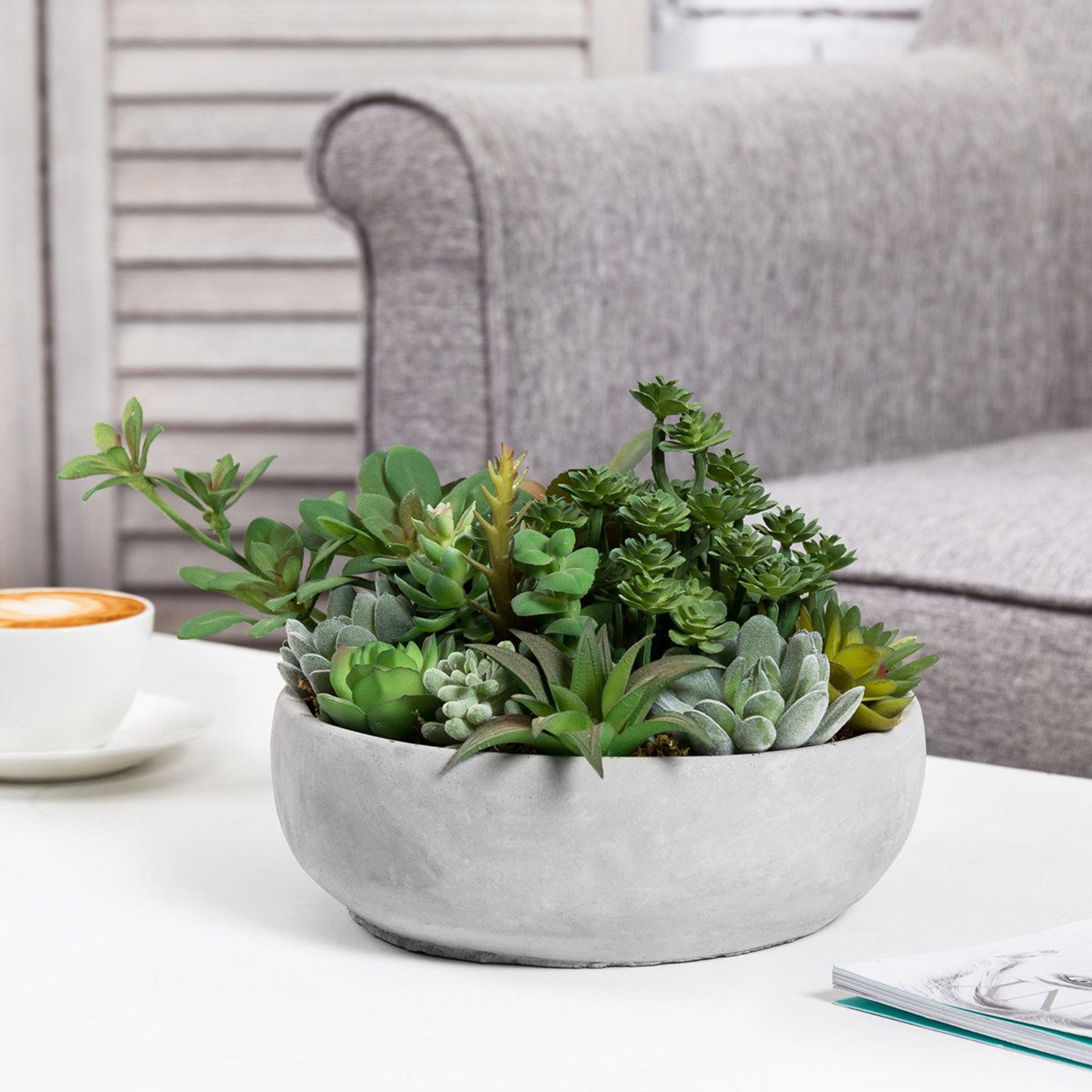 benita faux succulent arrangement in gray cement pot