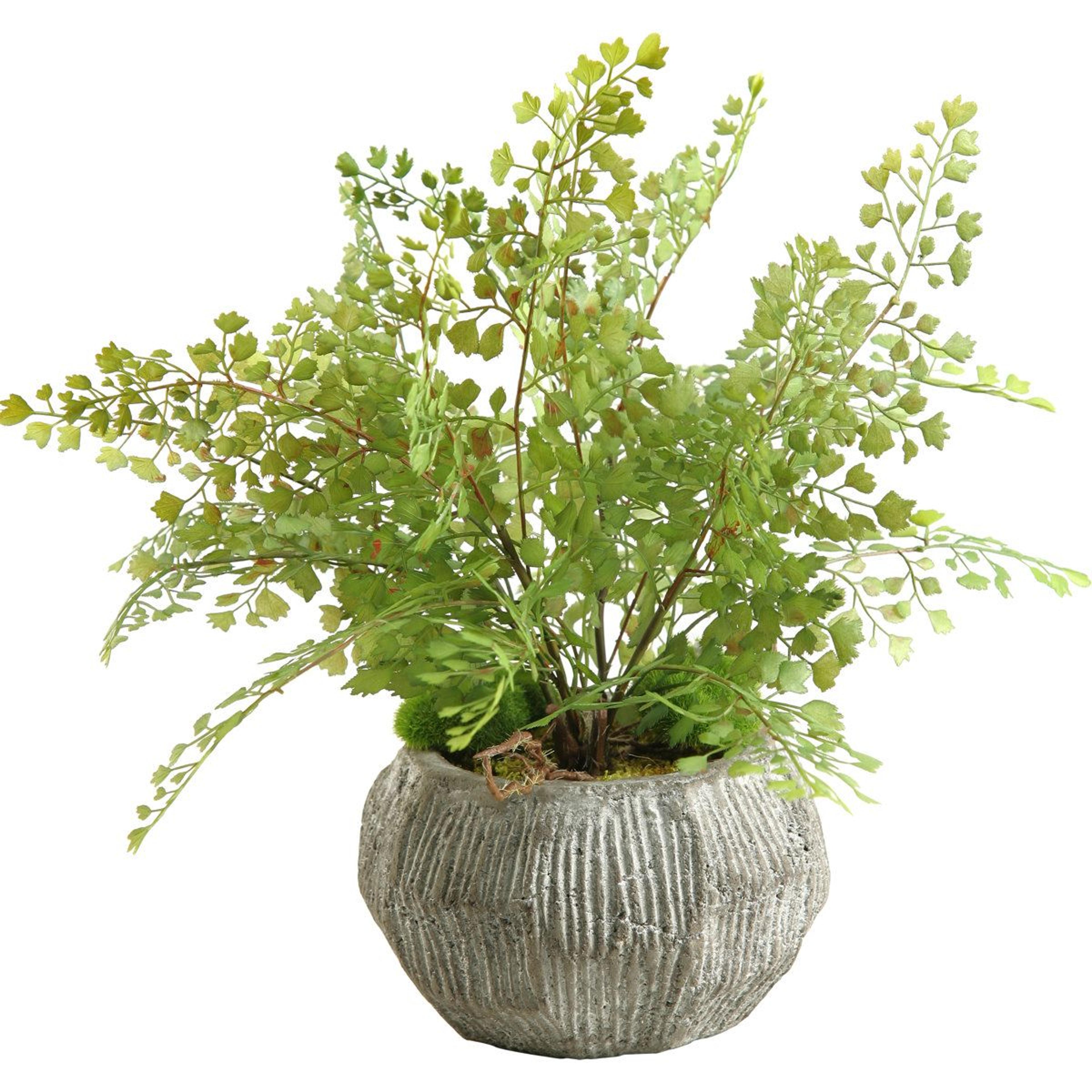 yoshida artificial fern plant with ceramic planter