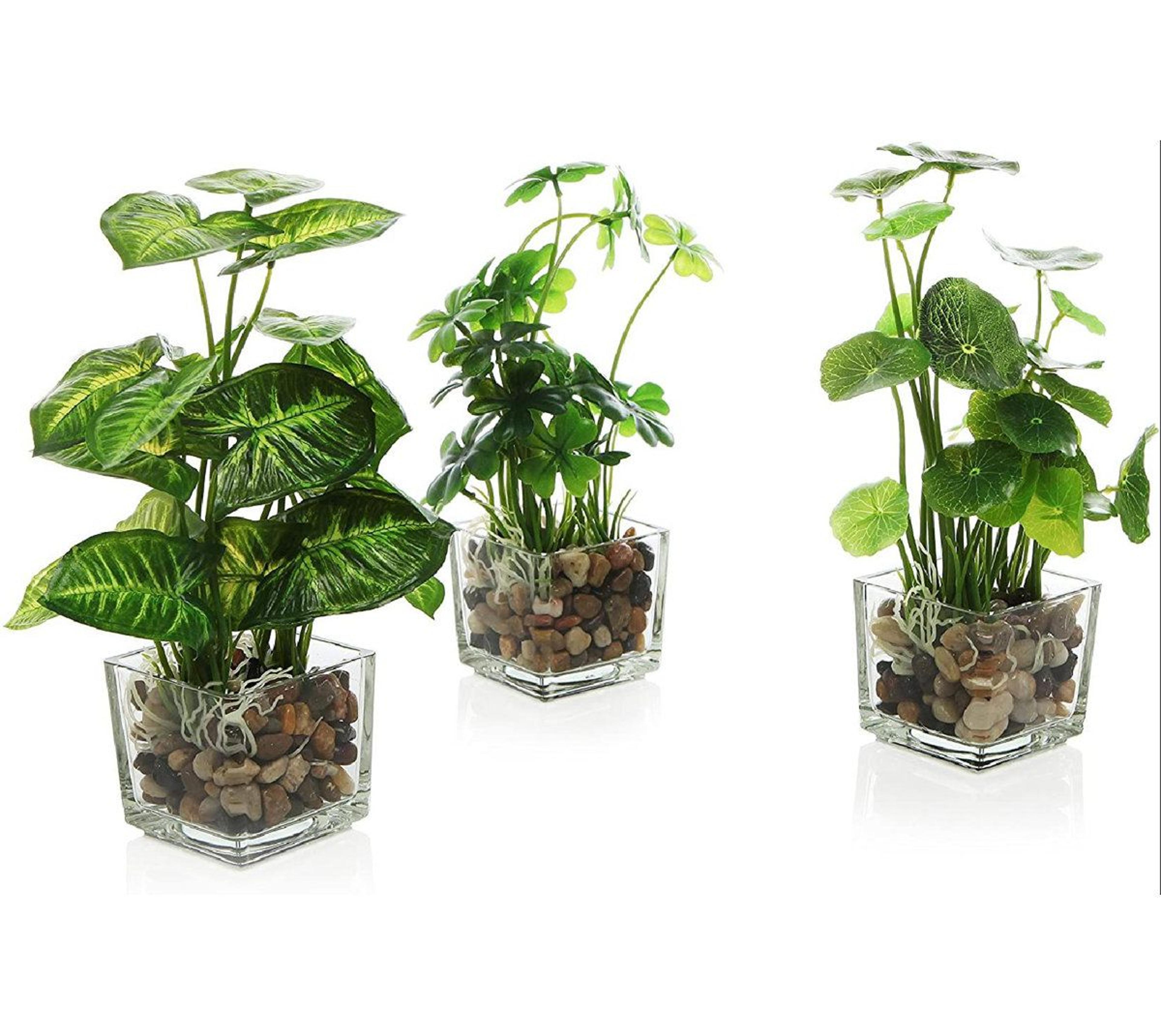 9.5 inch faux evergreen plant glass terrarium decor set