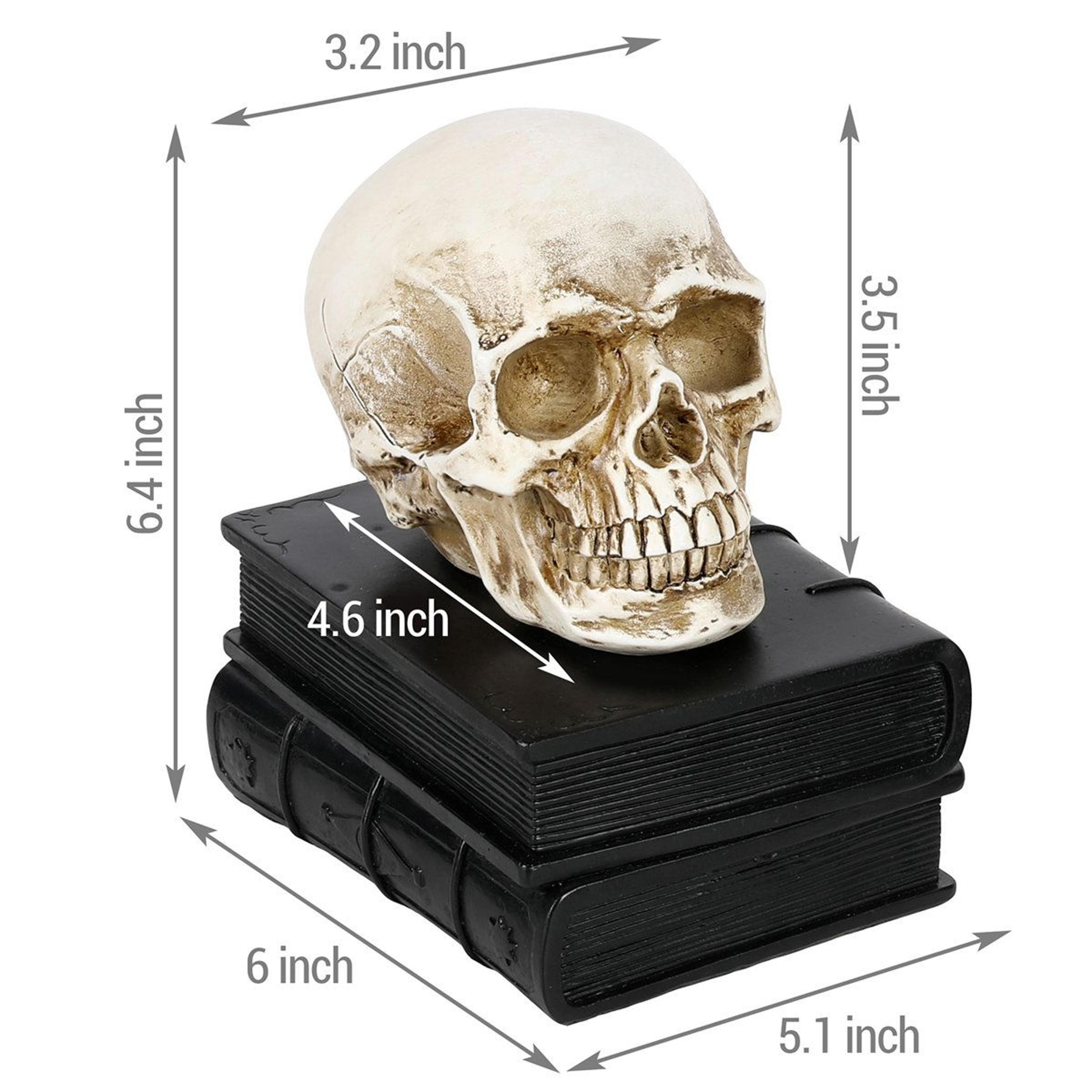 trinx gothic skull bookends set unique halloween desk accessories & bookshelf decor