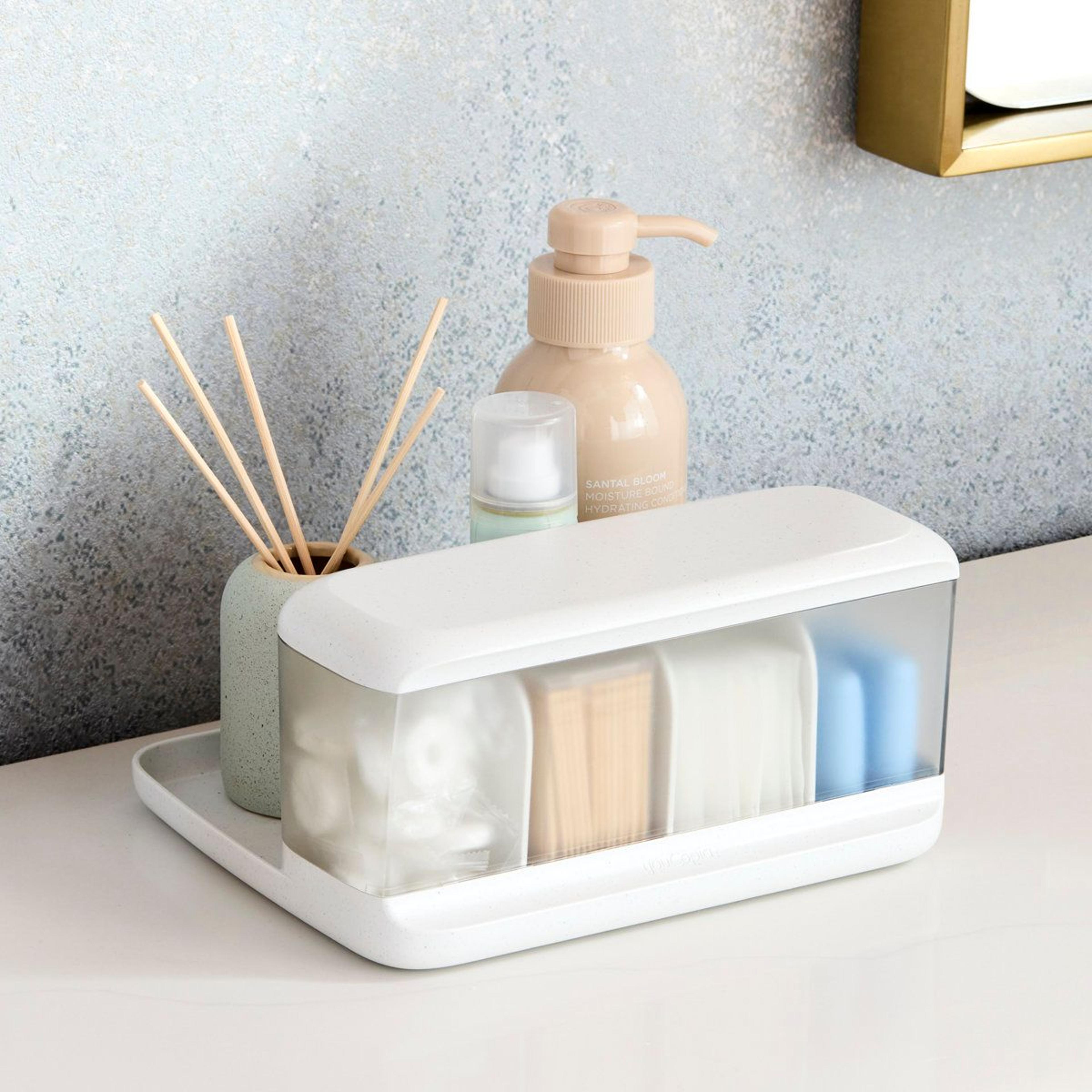 hideaway countertop organizer bin with adjustable dividers and lid