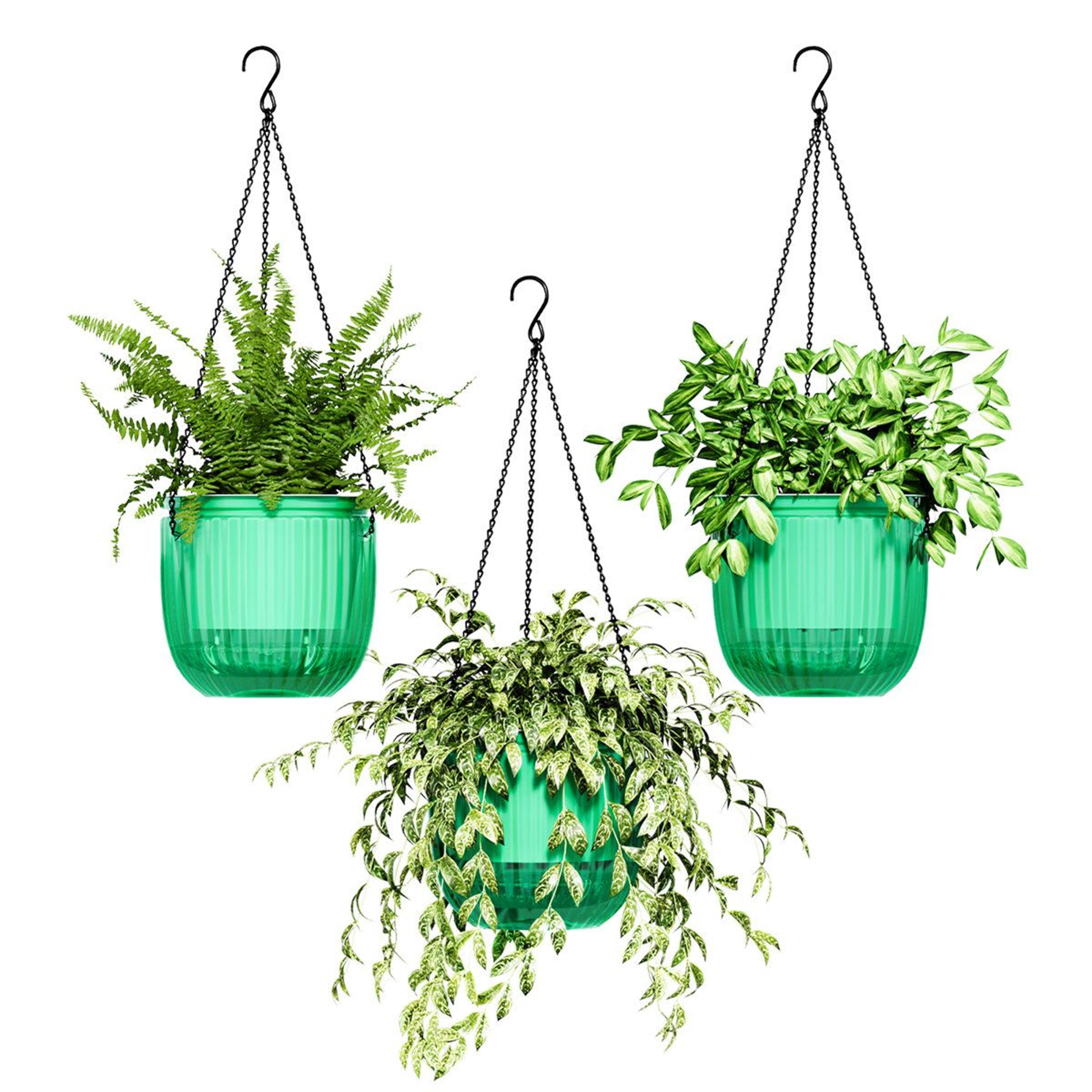 self watering hanging planters for indoor plants 3 pack