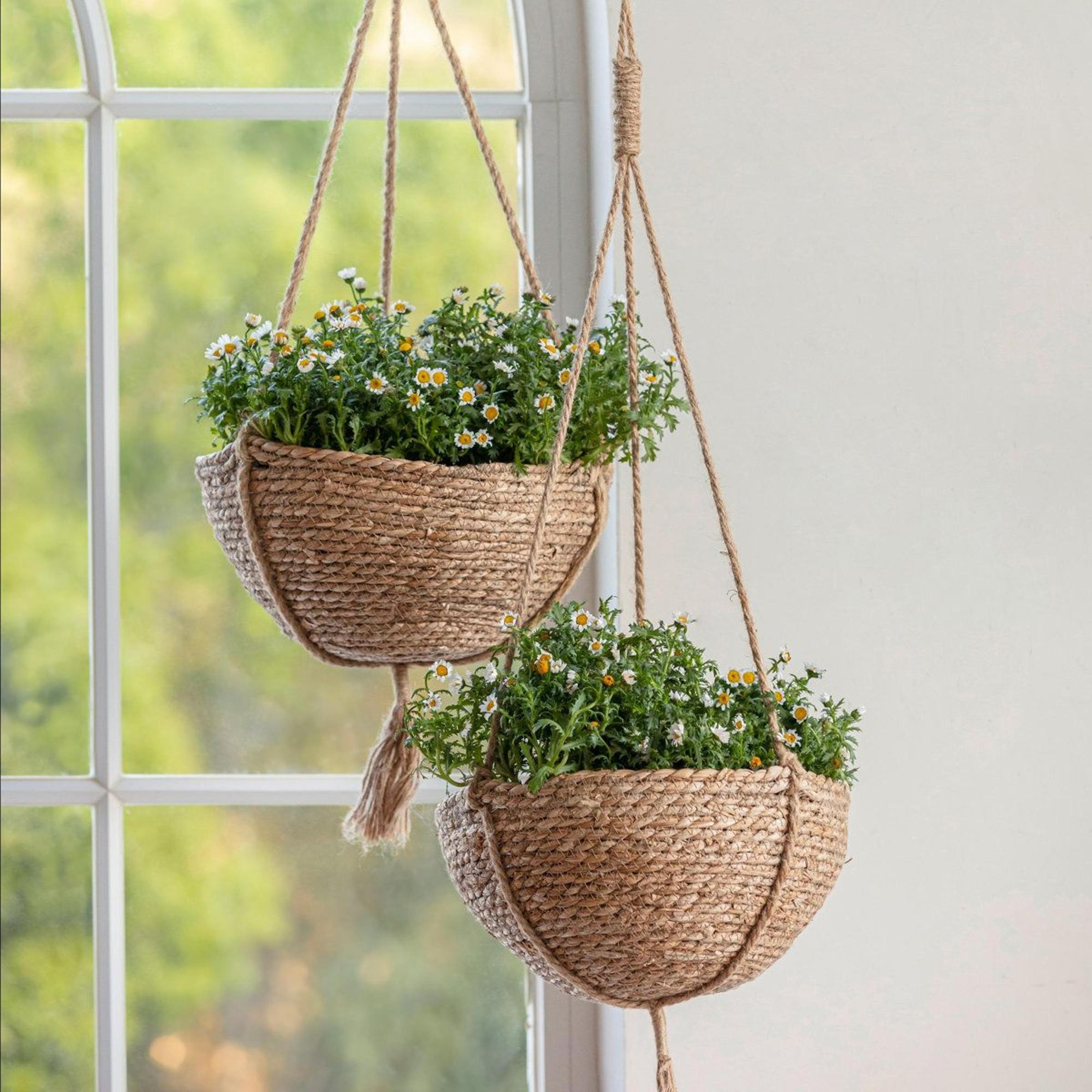 tierney natural fiber hanging planter set of 2 indoor hanging plant baskets
