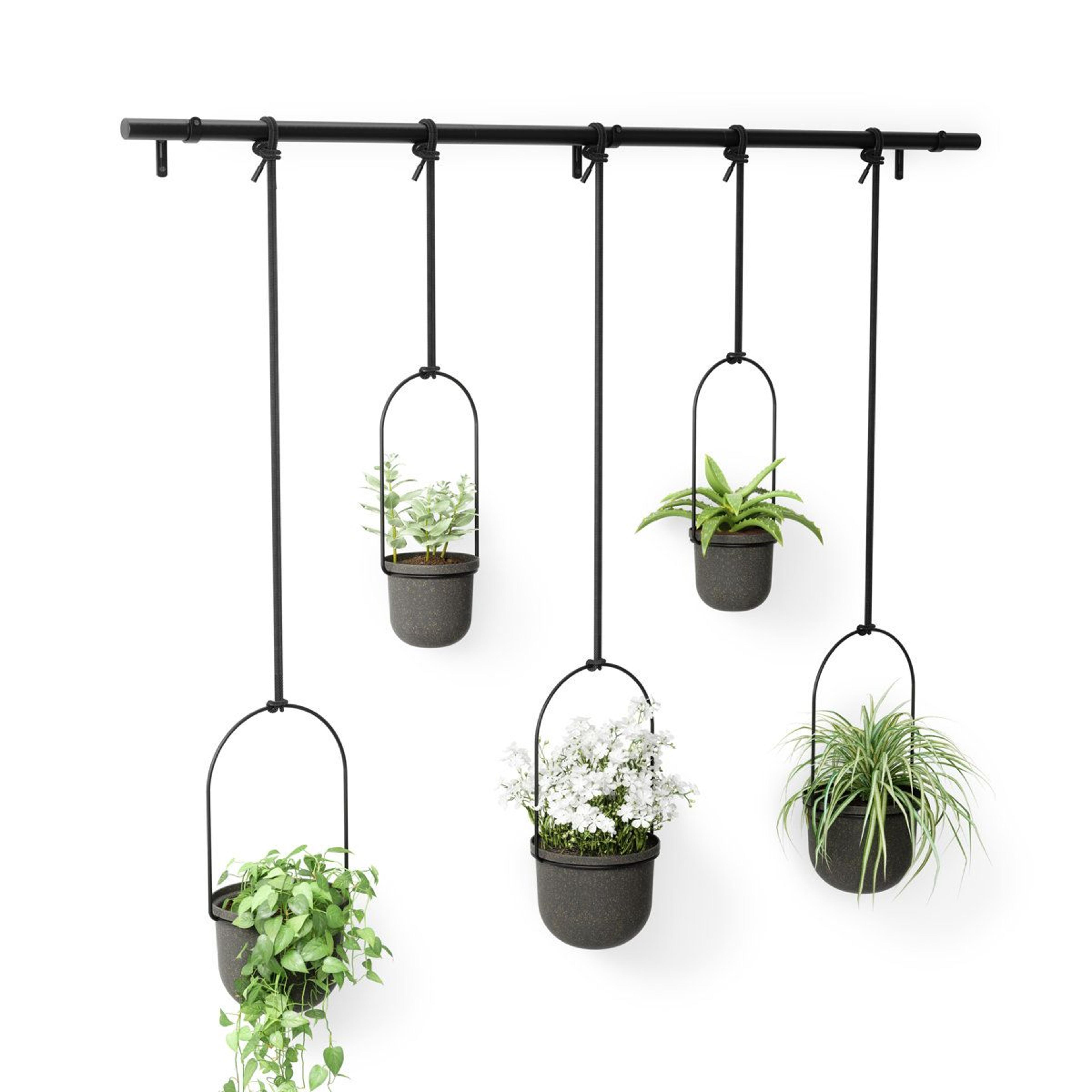 adjustable hanging planter set of 5 with window plant rod