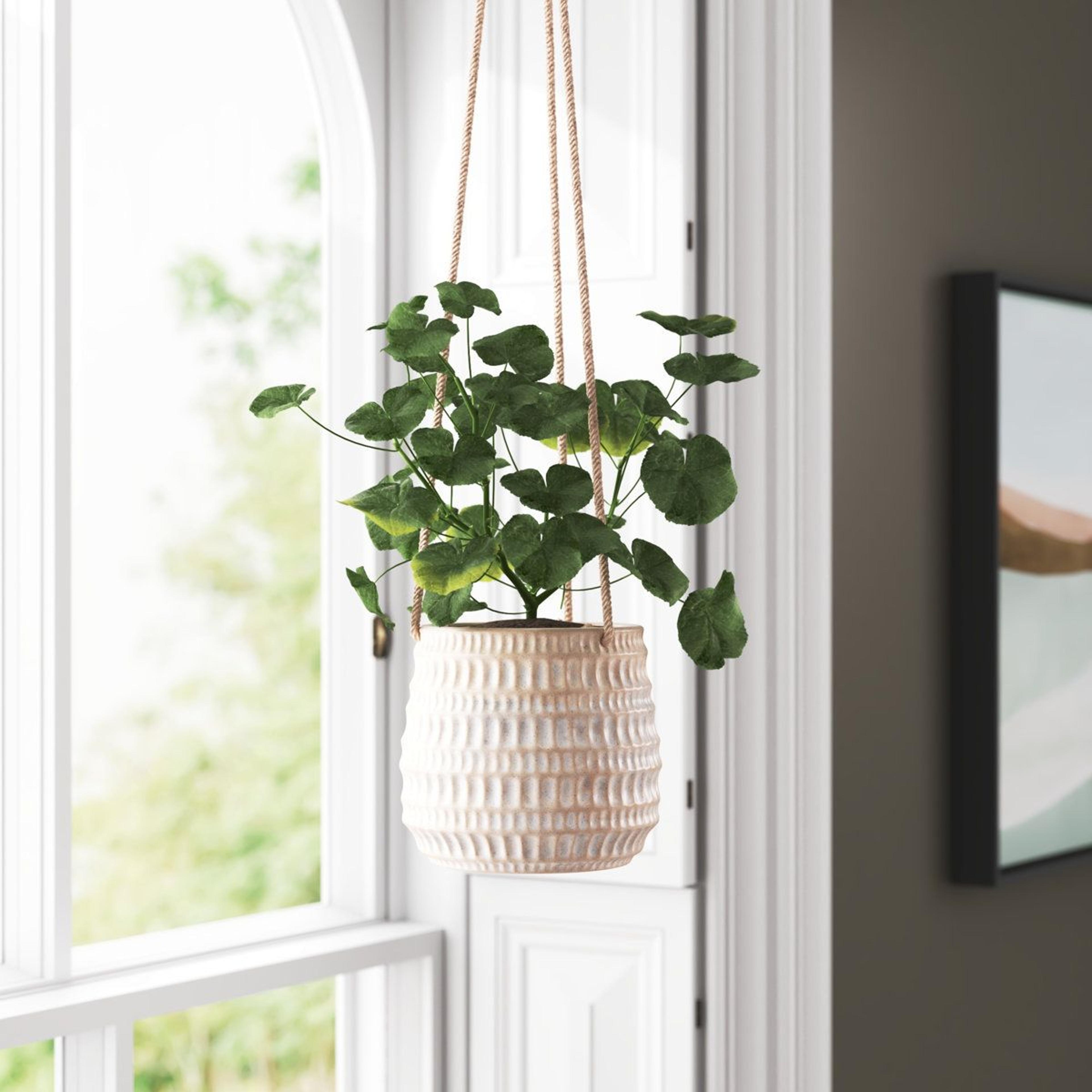 rosaria textured ceramic hanging planter indoor plant hanger