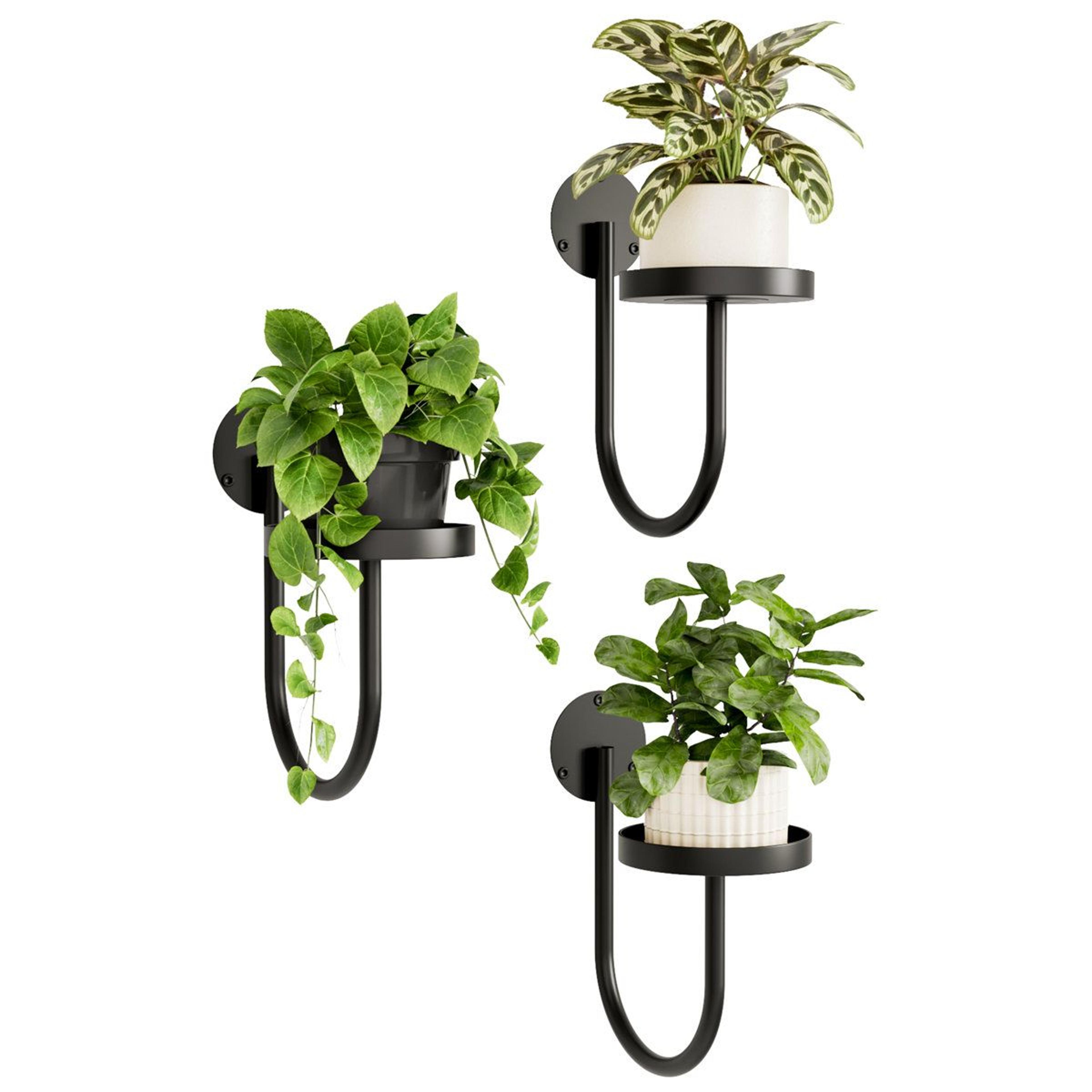black 3 pack wall hanging planters for indoor decor
