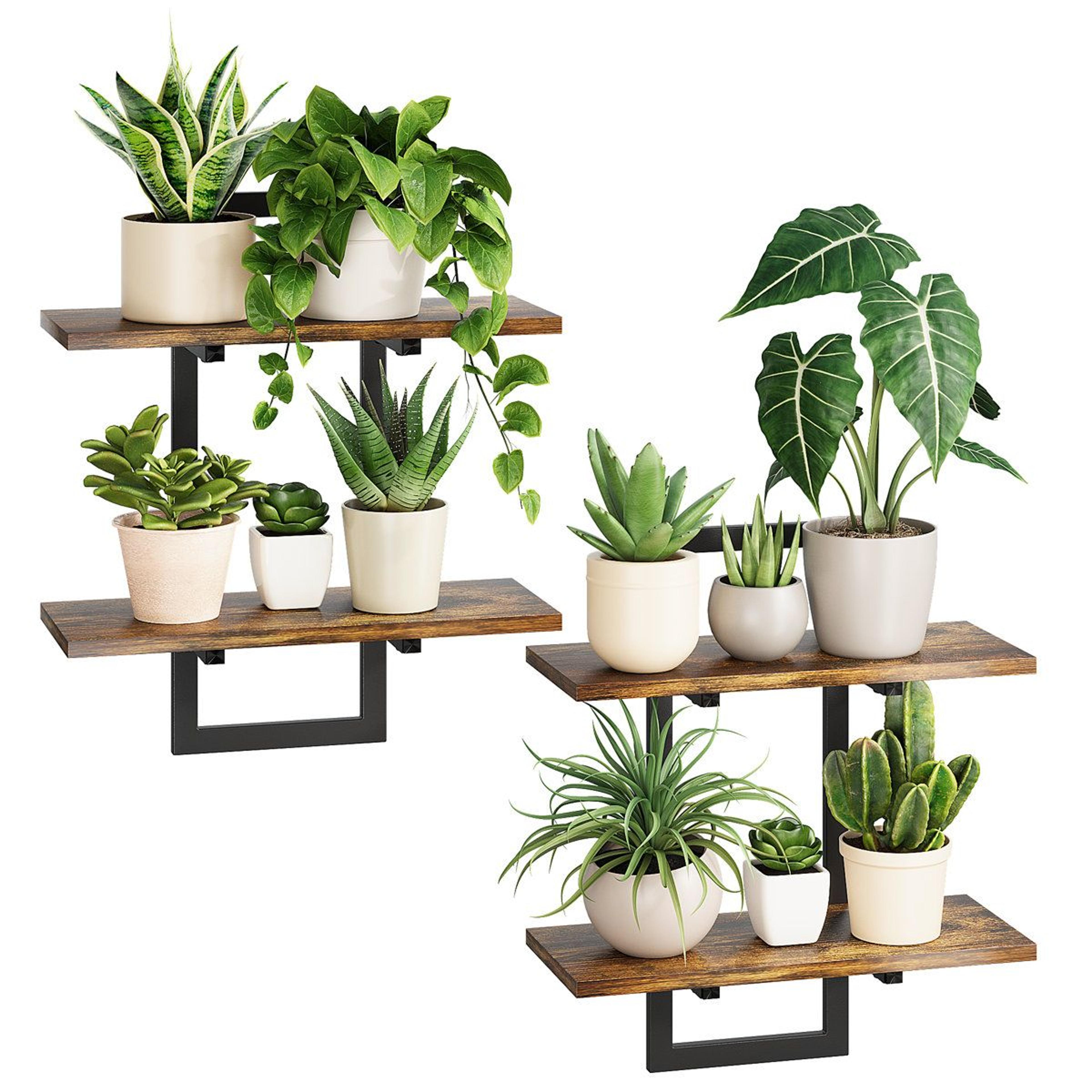 ebern designs floating plant shelves for indoor plants wall decor set of 2 brown