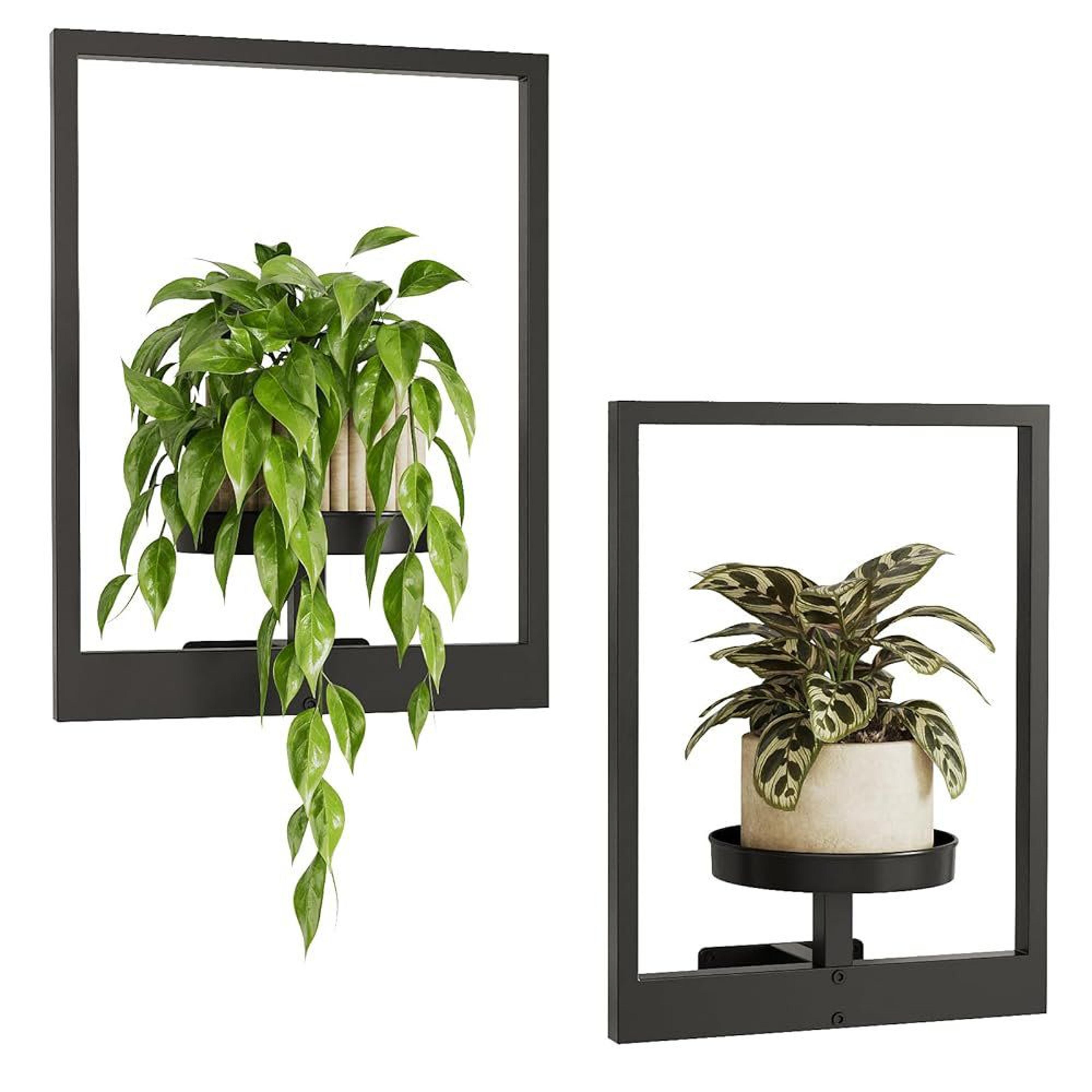 70 inch black metal wall mounted plant hanger for indoor outdoor hanging planters