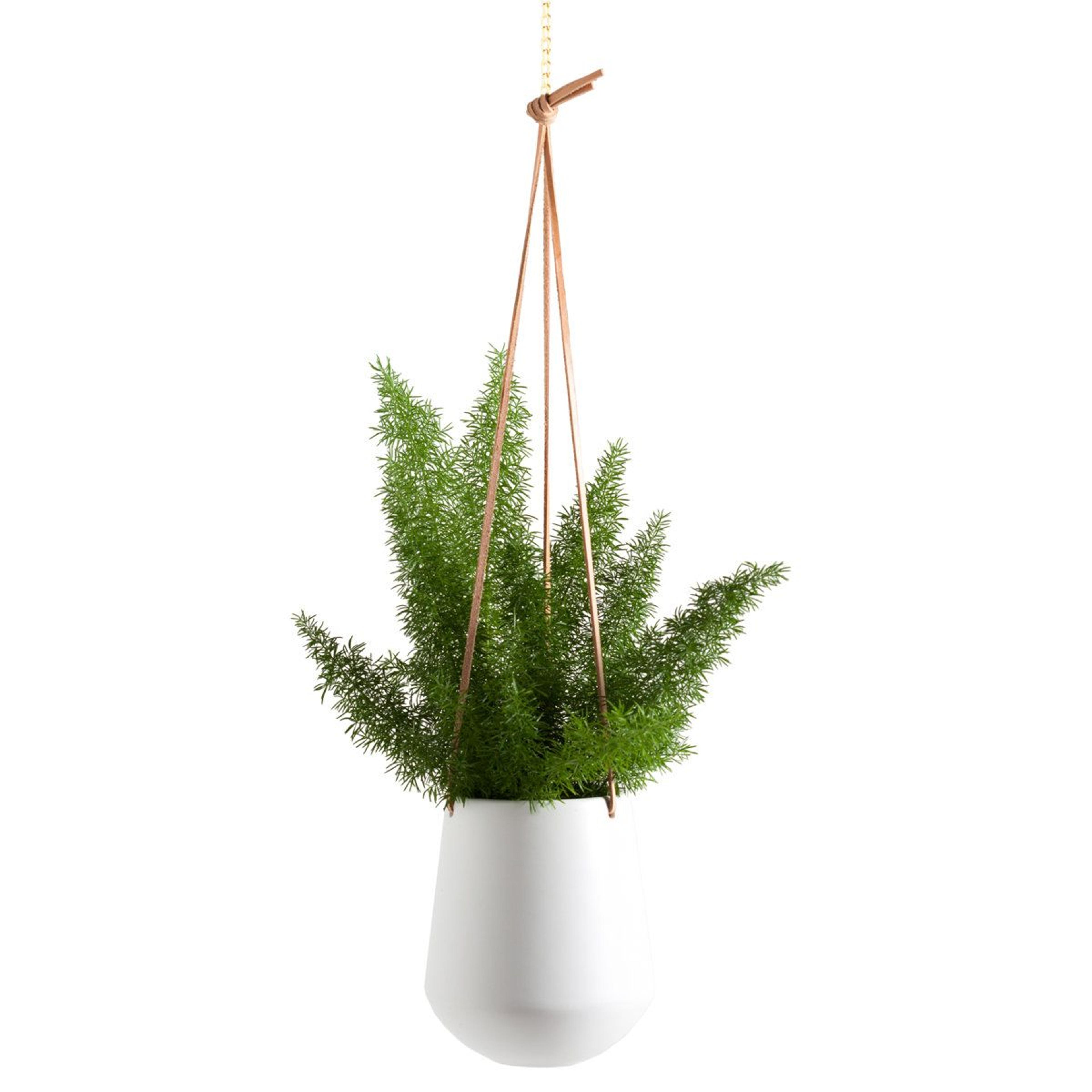 nonce handmade ceramic hanging planter for indoor plants with adjustable leather cords