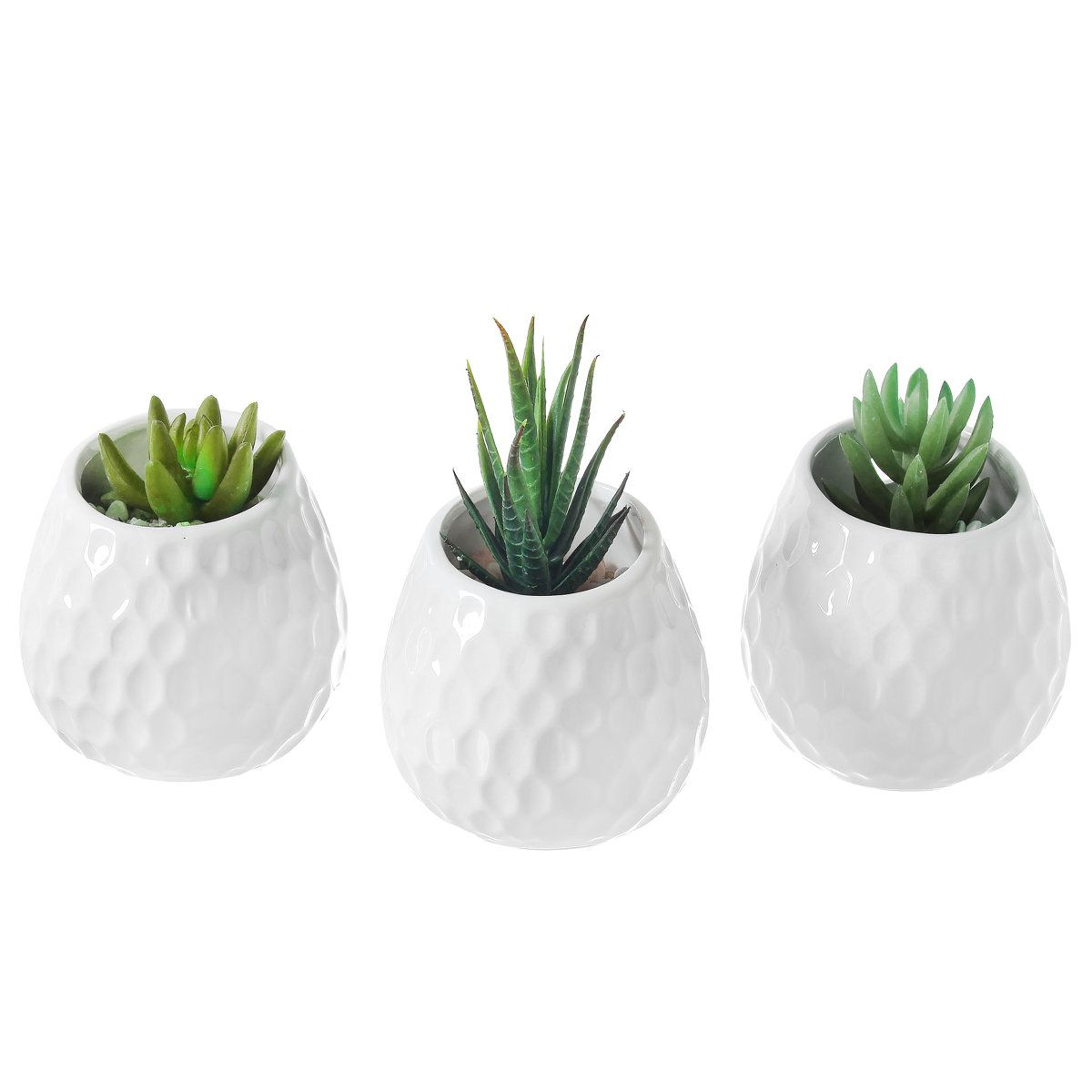 maiorano ceramic wall planter set of 3 small wall mounted planters