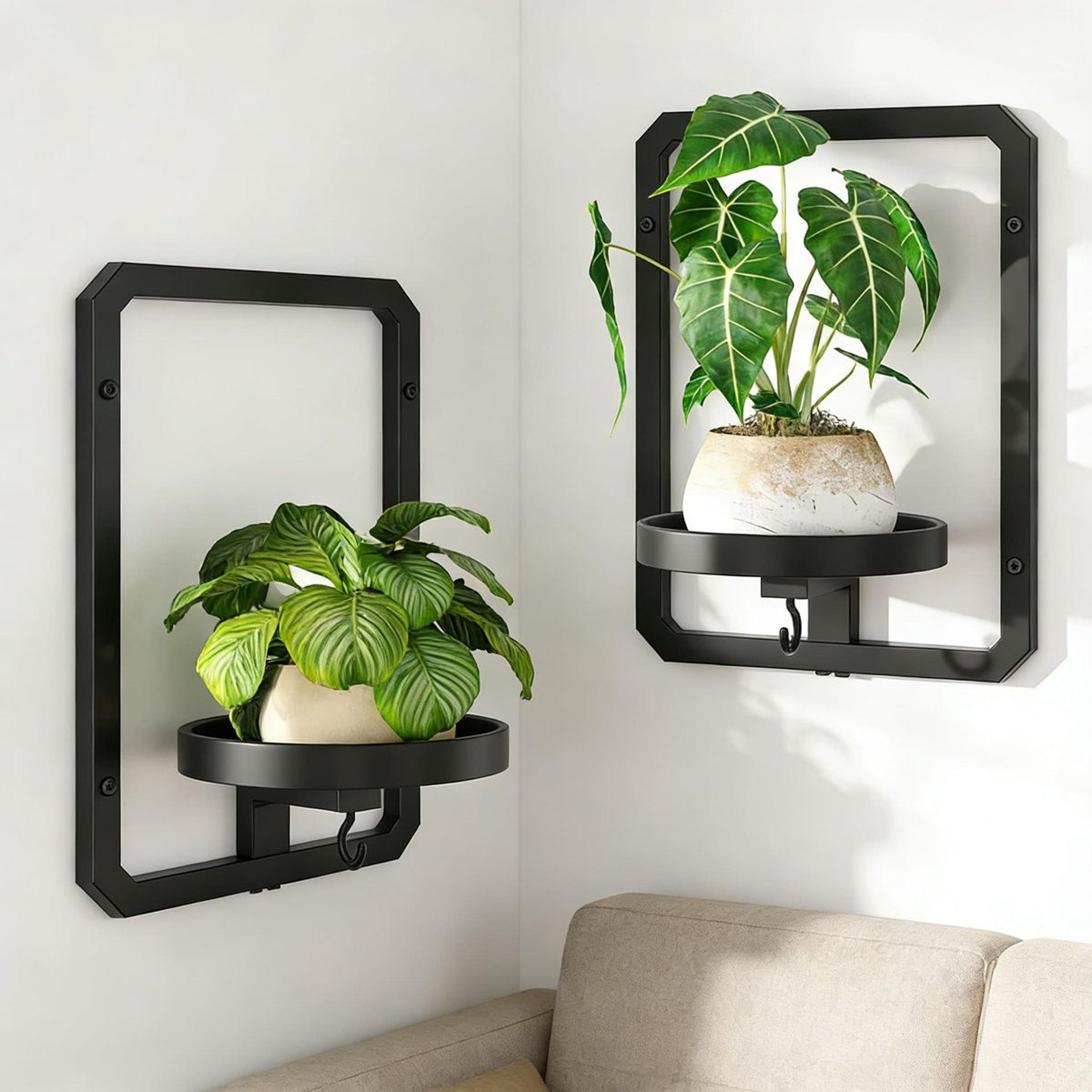 heavy duty wall mounted plant shelf with indoor plant hanger 2 pack